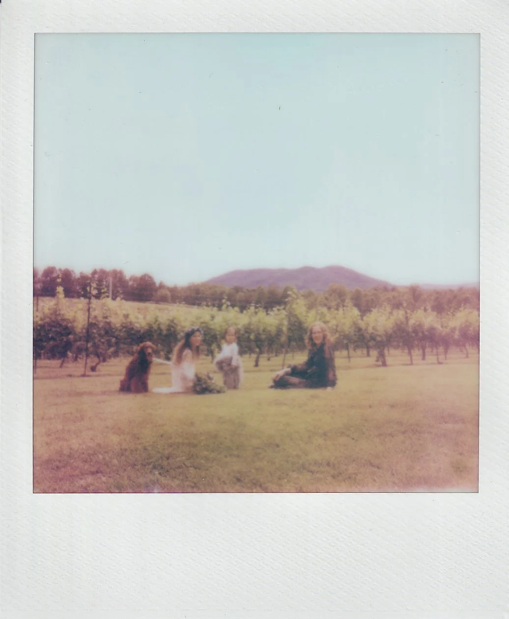 Friends and family spending time together during an intimate wedding celebration near Asheville, North Carolina.