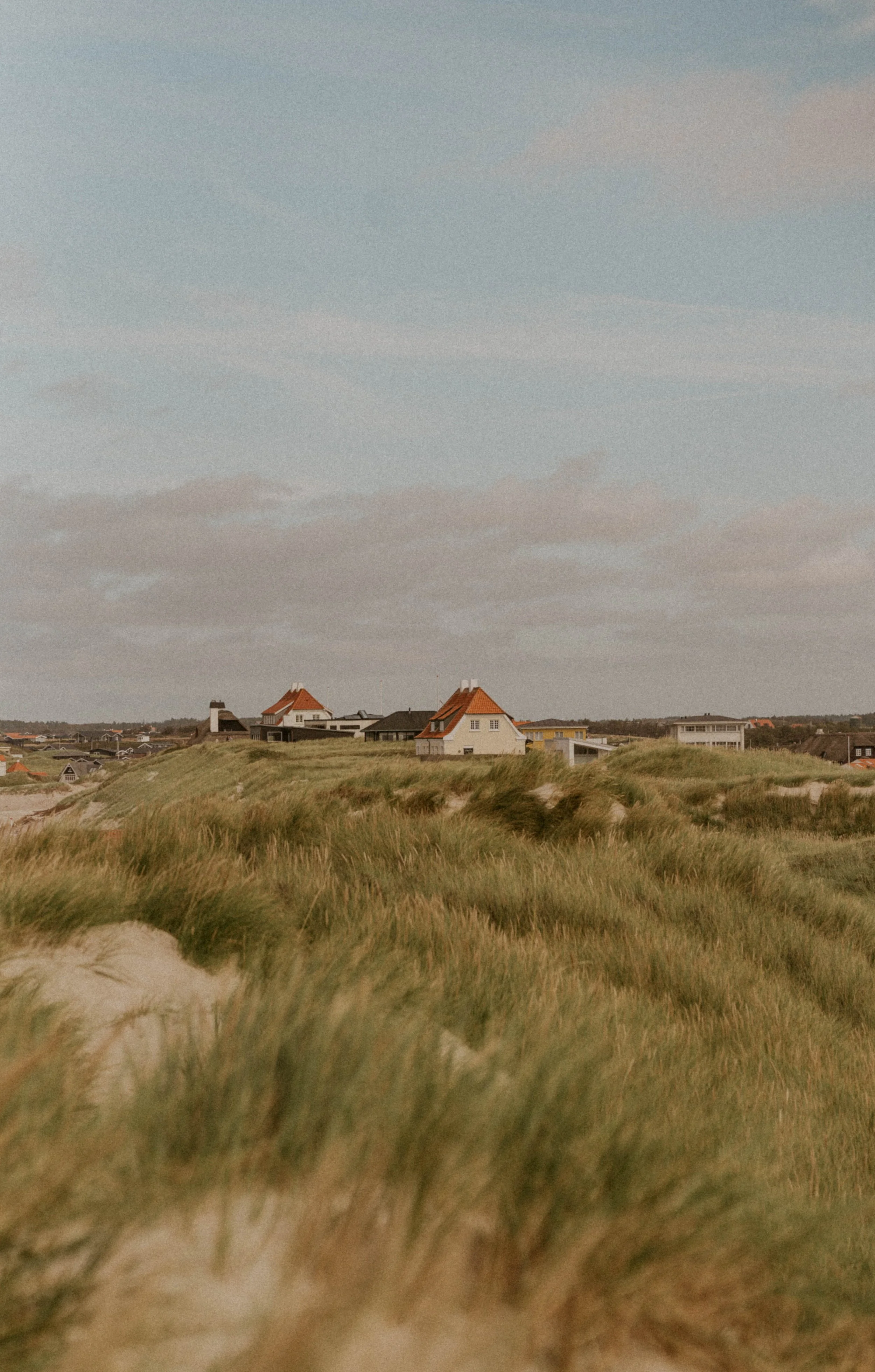 soft golden light over Bornholm beach during Denmark elopement ceremony