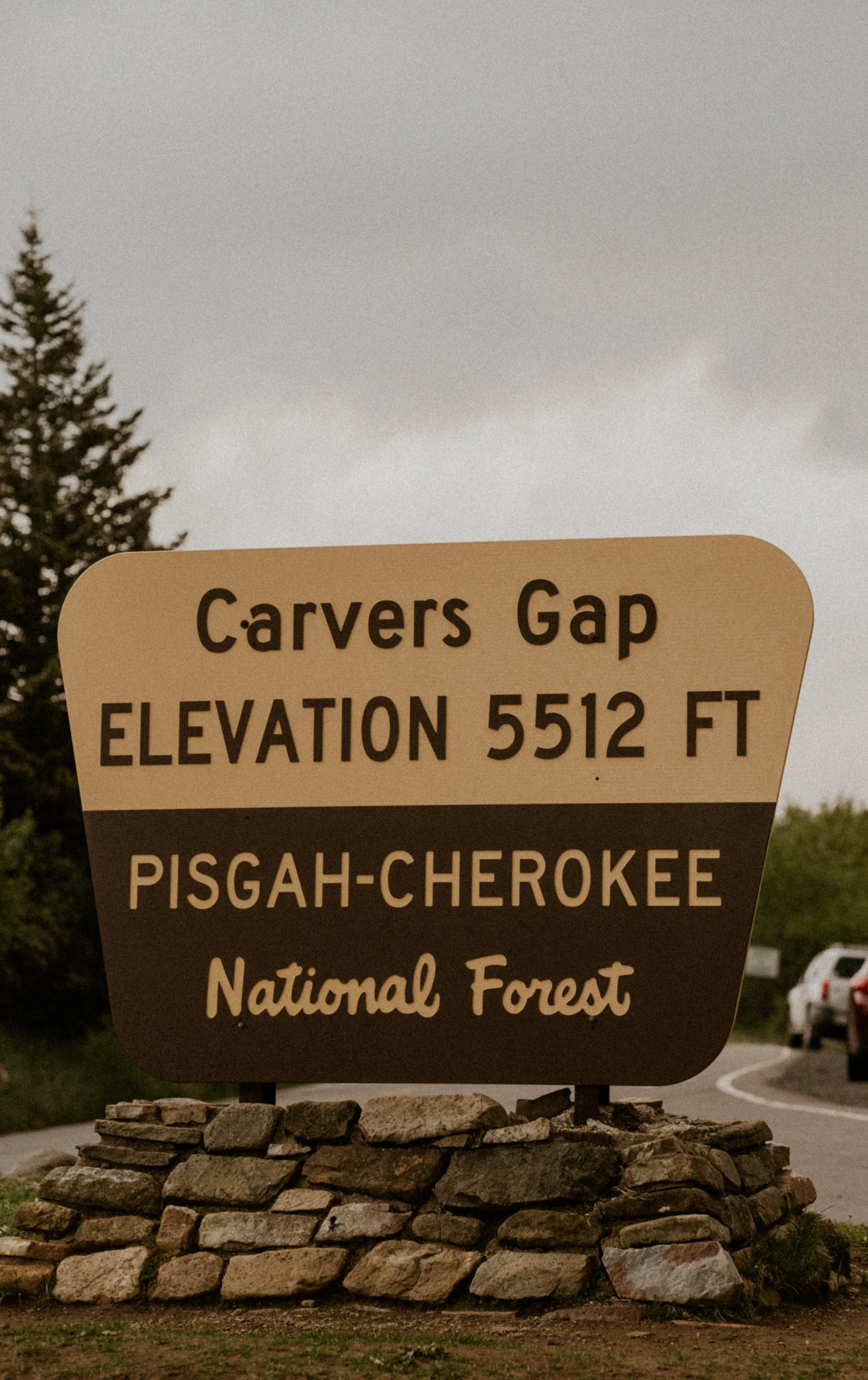 Windy Roan Mountain family ceremony in the fog