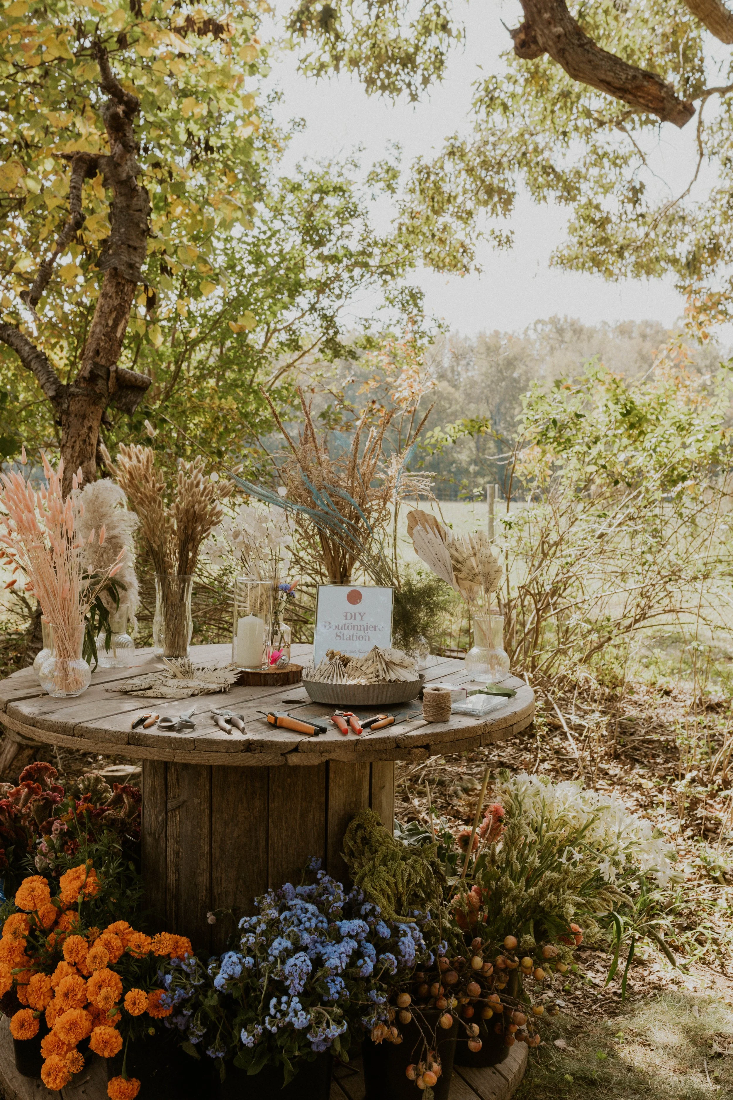 The farmhouse and grounds at Windy Hill Farms in Cedar Grove, NC