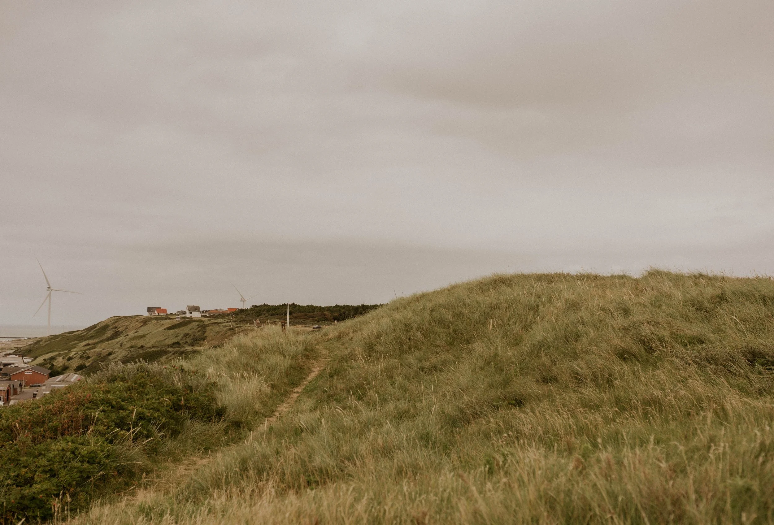 Bride and groom walking along Denmark’s west coast at sunset, moody Nordic atmosphere