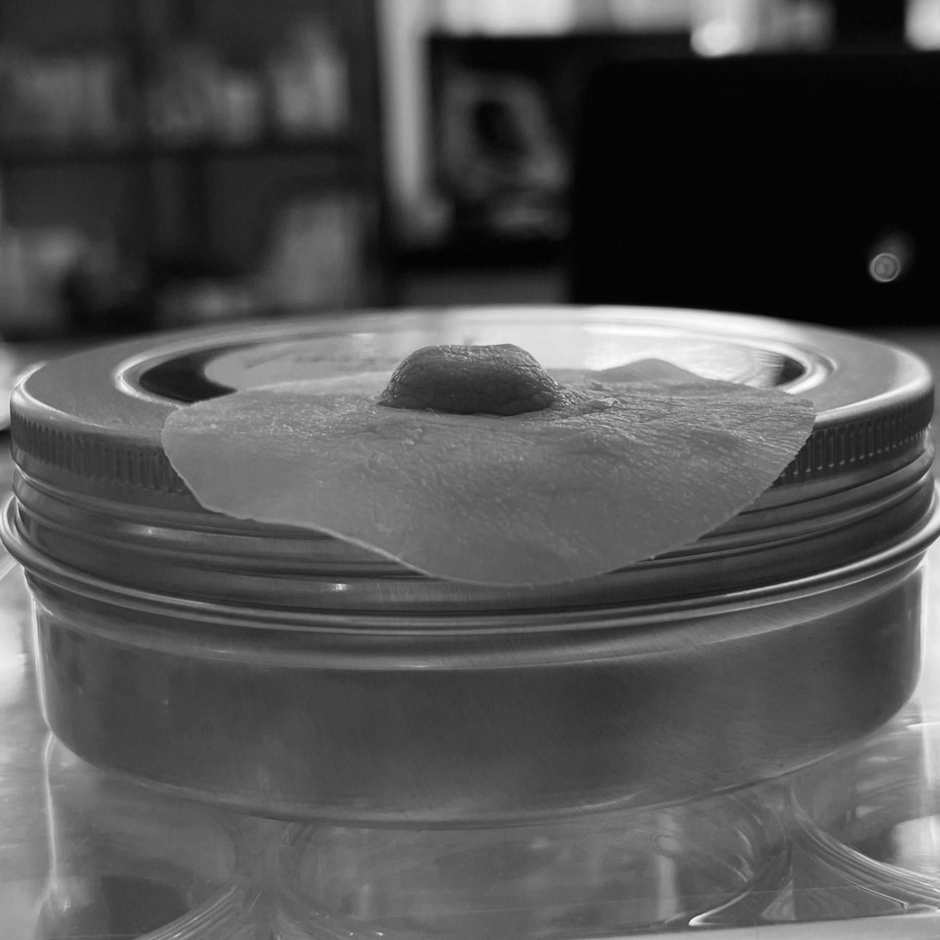 IMG_1568.jpg