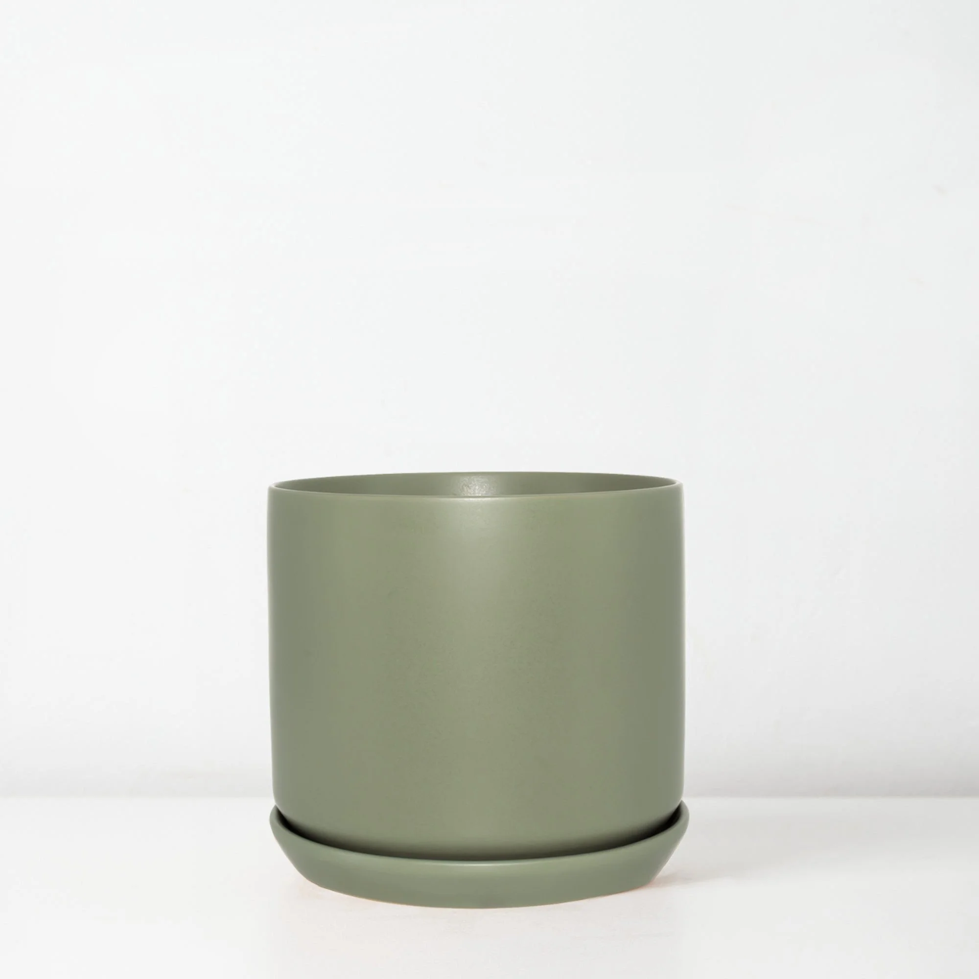 Oslo planter - 14cm eucalypt