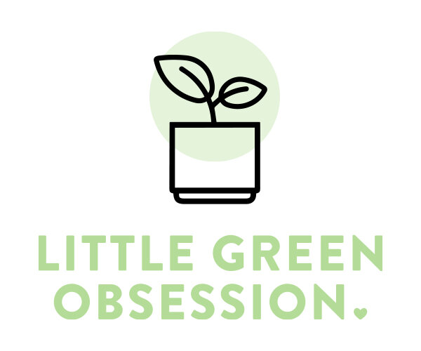 Little Green Obsession