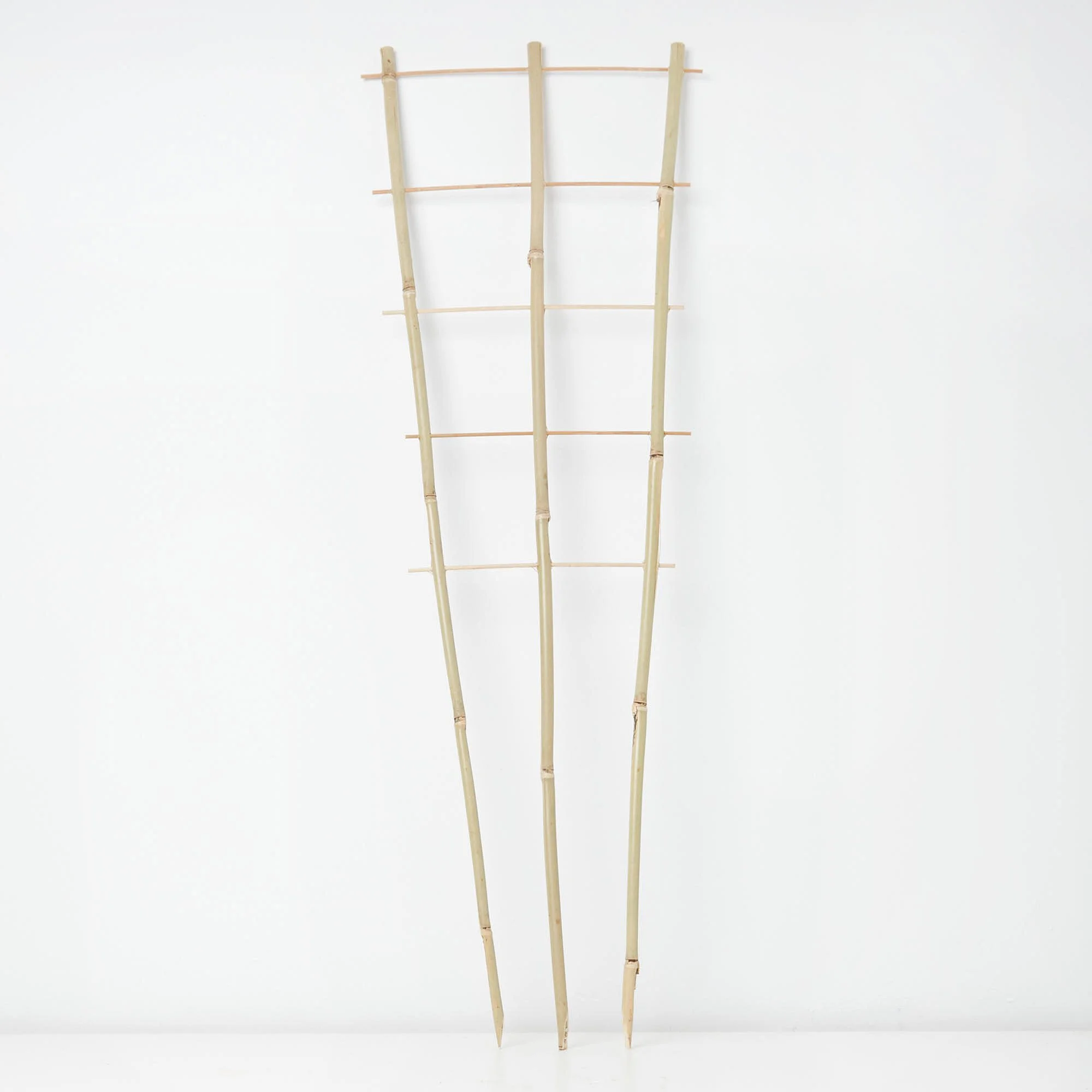 bamboo-support-2.jpg