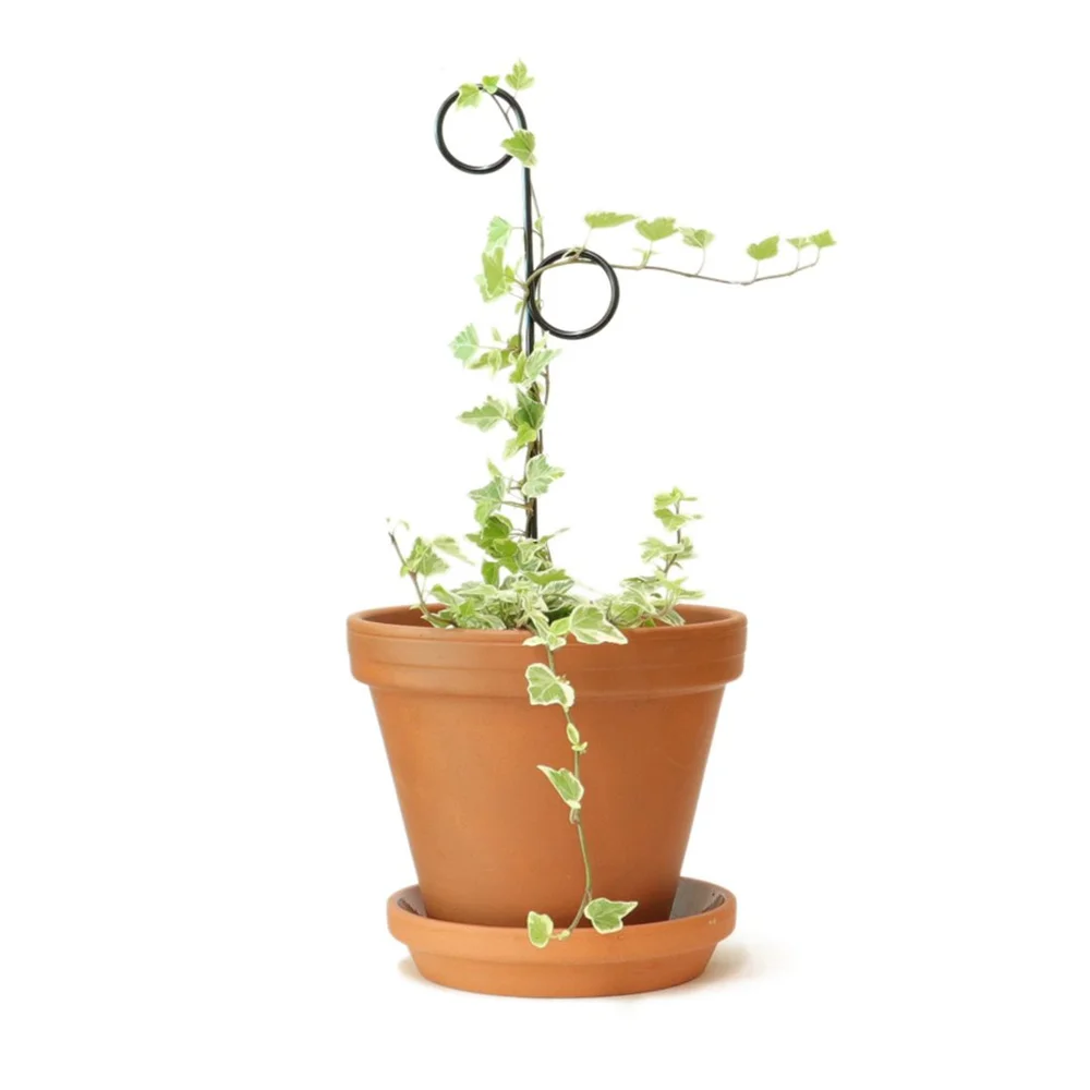 Mini Plant stake - perch  Little Green Obsession