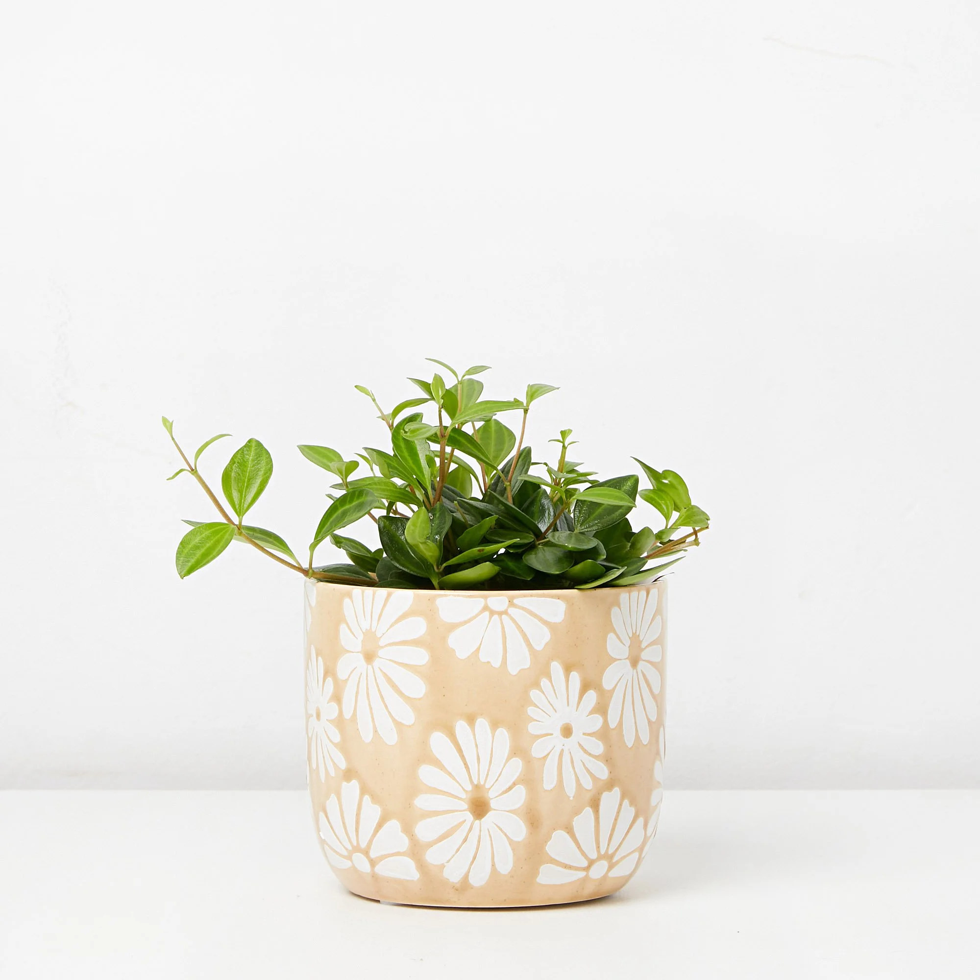 unique gift ideas free delivery Richmond