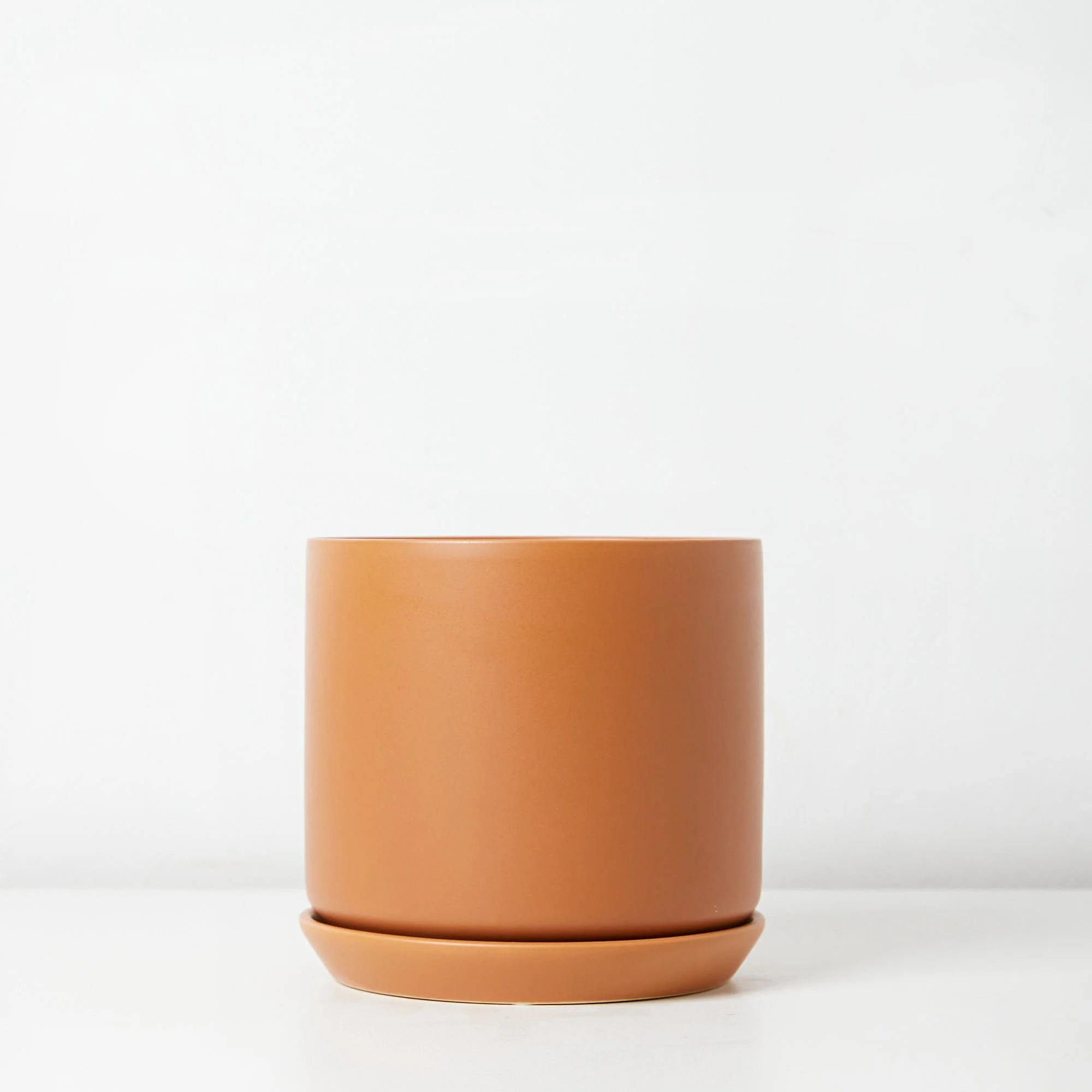 colourful indoor plant pots melbourne