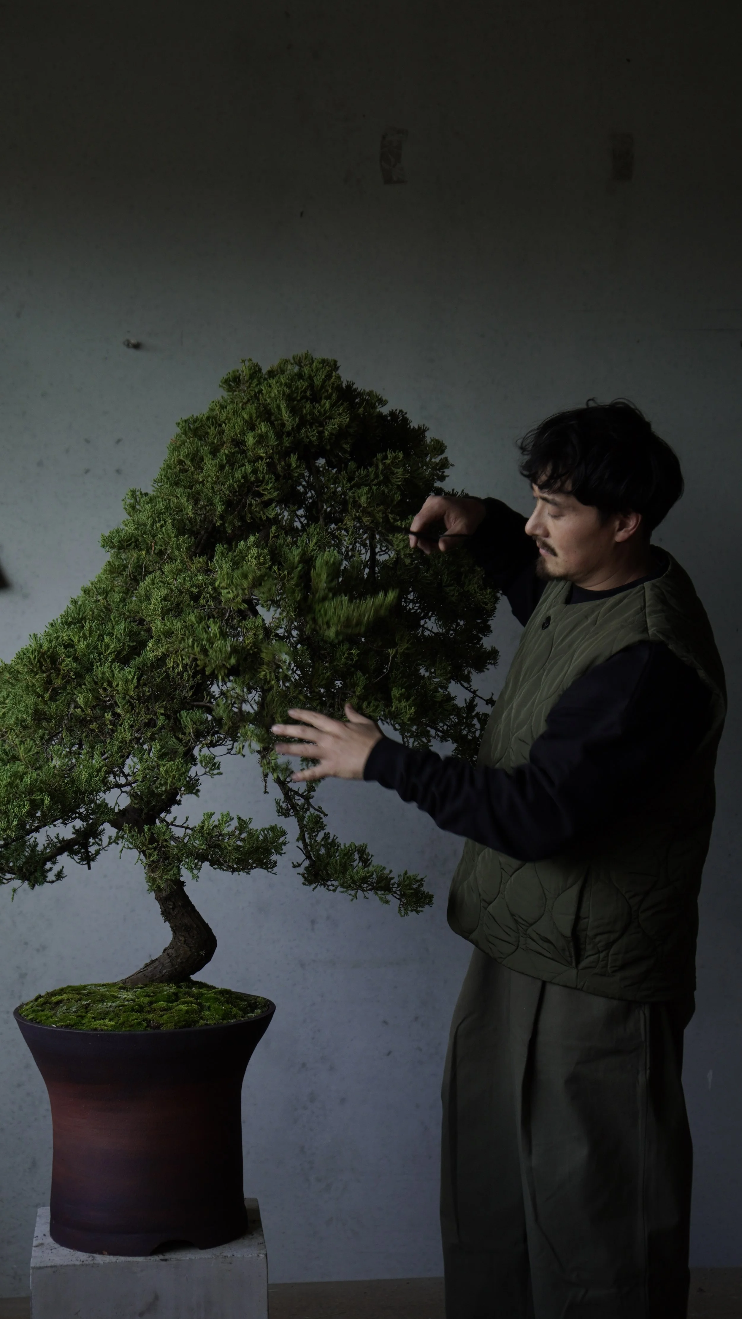 LOWF X TILDYS - PORT.JPG