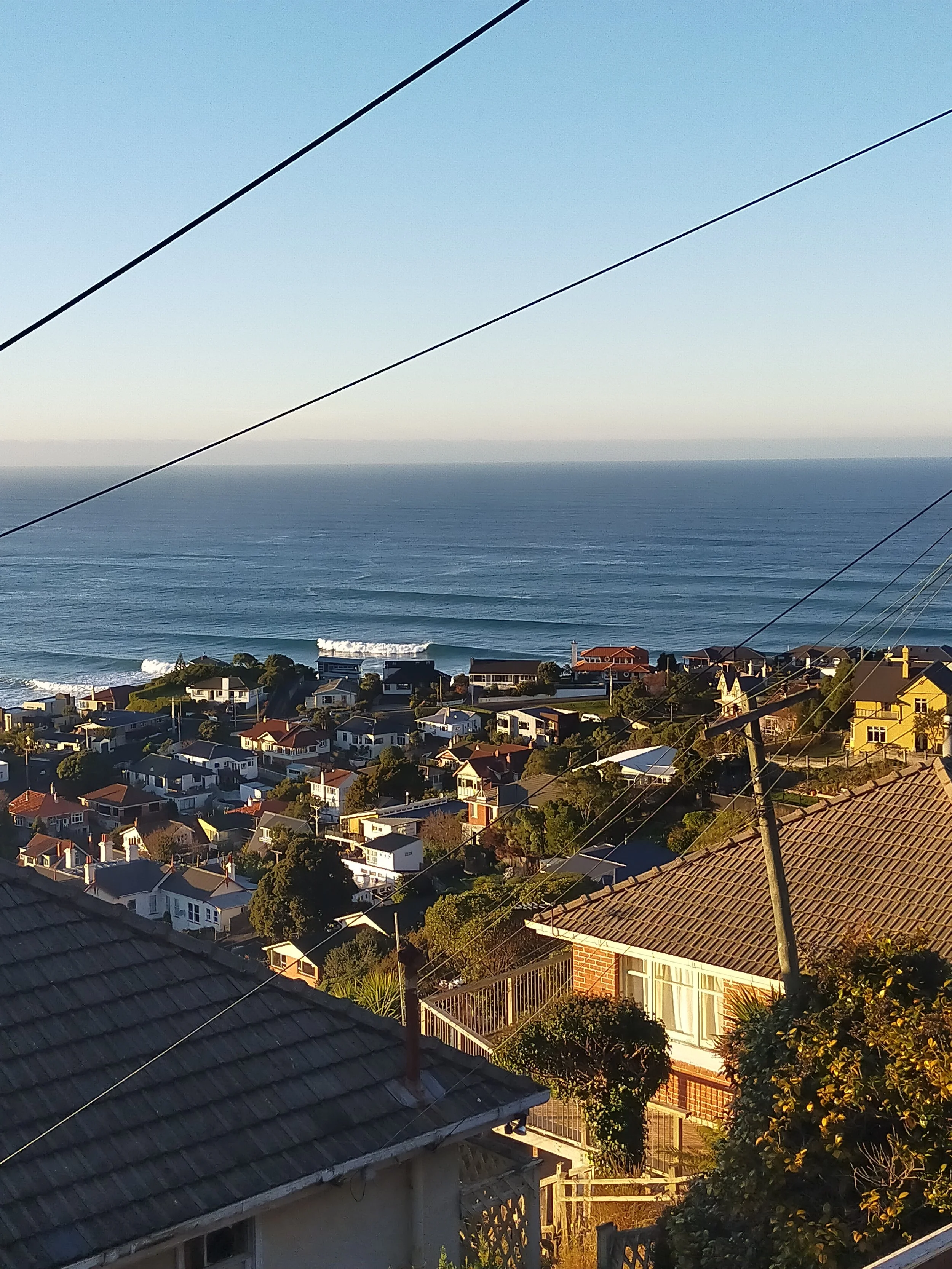 Blog — Dunedin Property Management