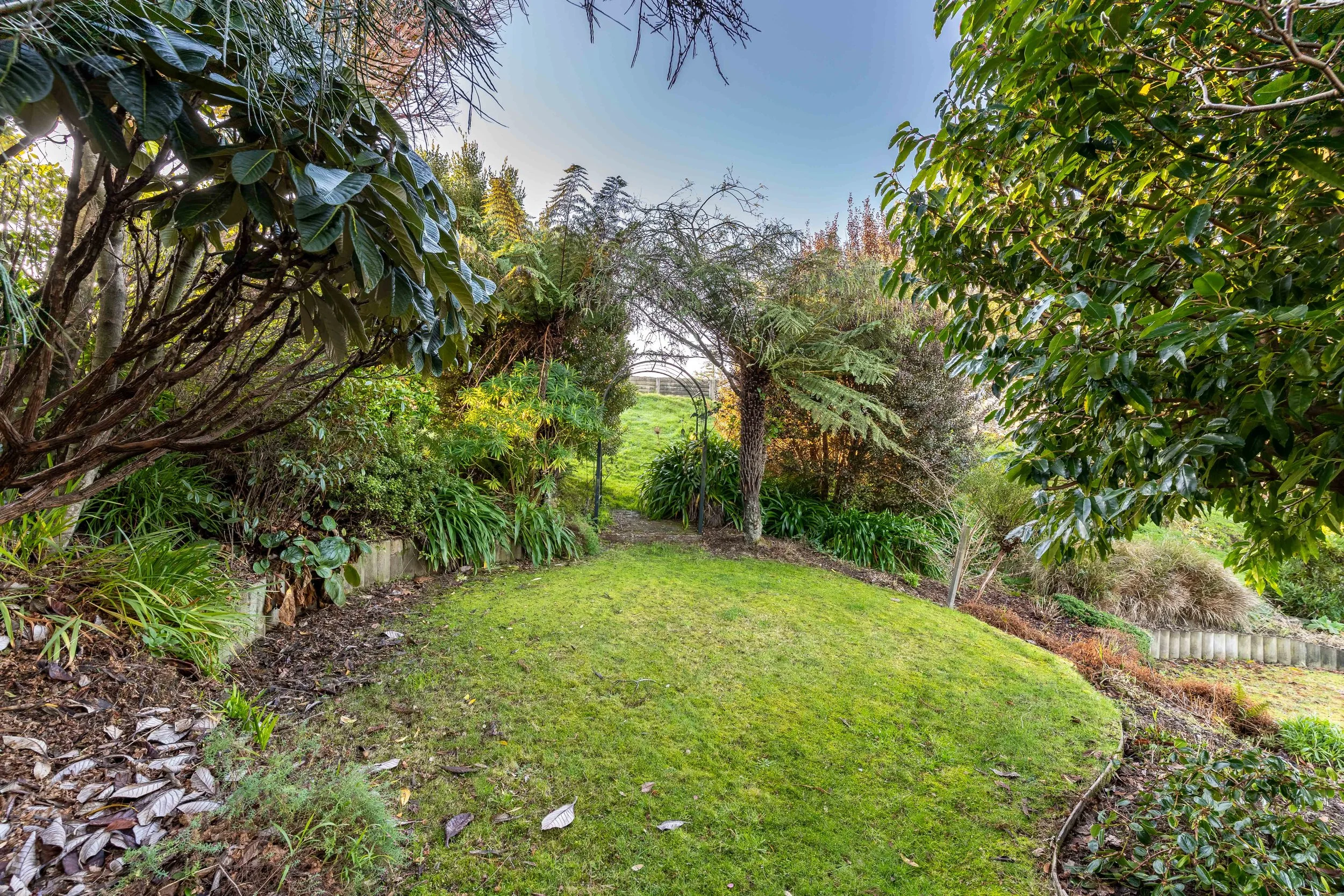 135 Balmacewen Rd-32.jpg