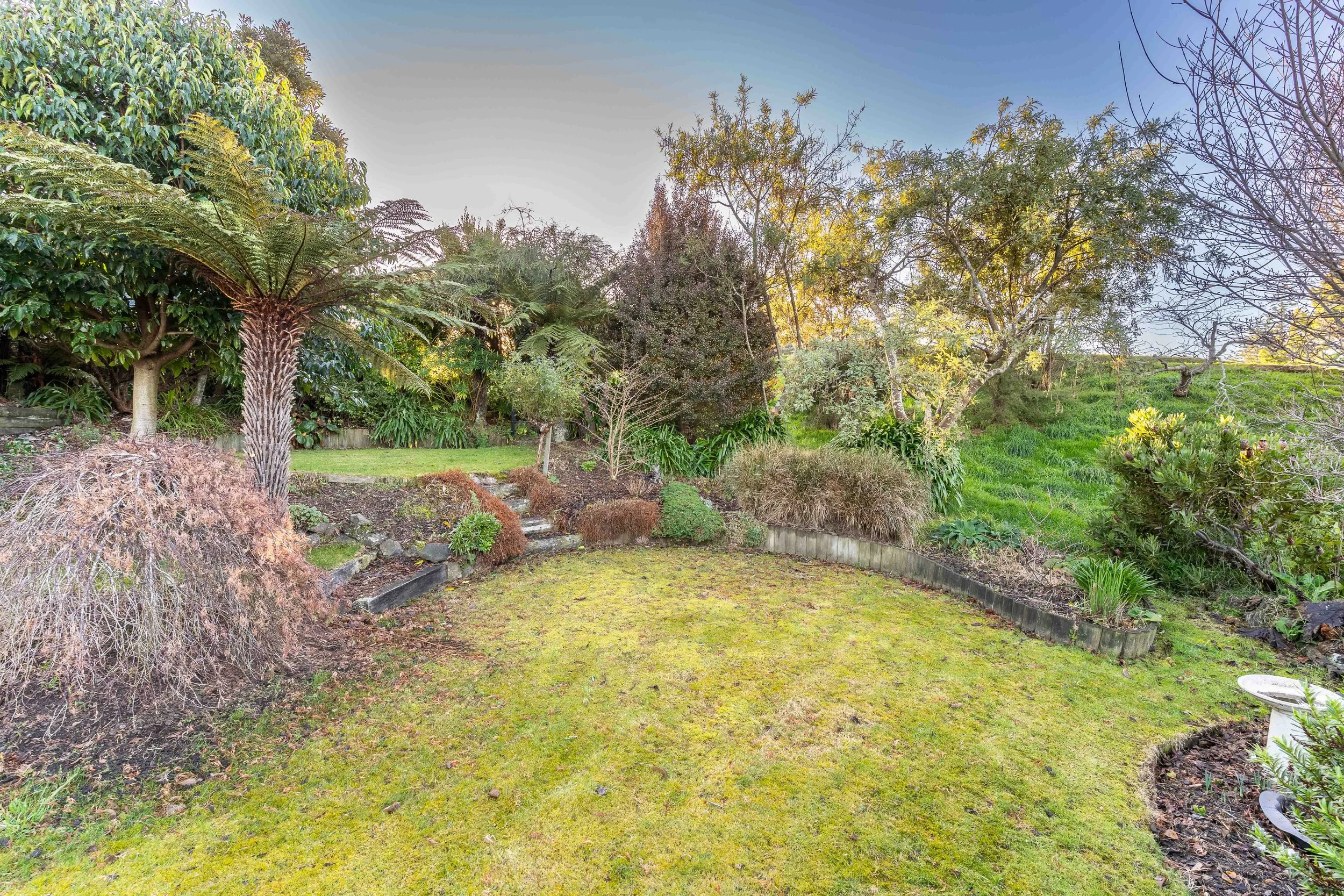 135 Balmacewen Rd-37.jpg