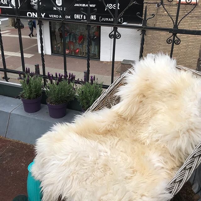 Balcony-time is over now!