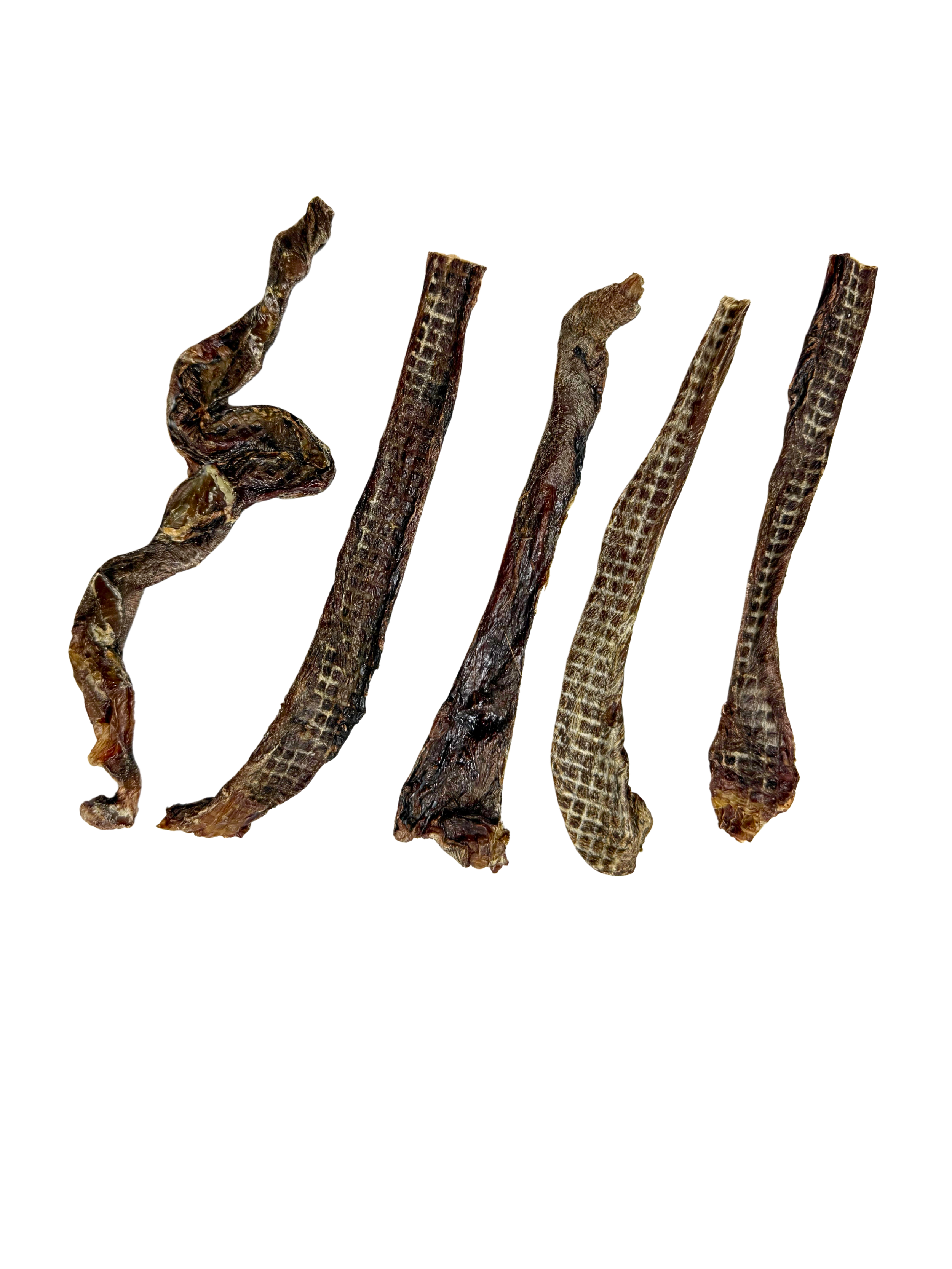 Venison weasand Short.png