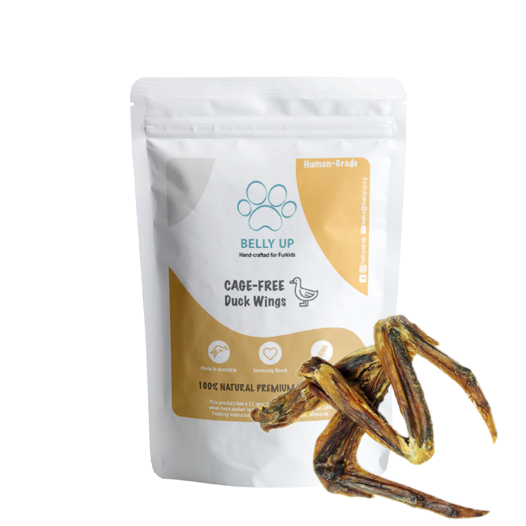 BELLY UP Natural Duck Treats for Dogs Singapore