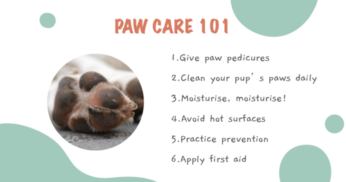 Dog Paw Pad Injuries: Navigating Through Cuts, Burns, Flaps, And