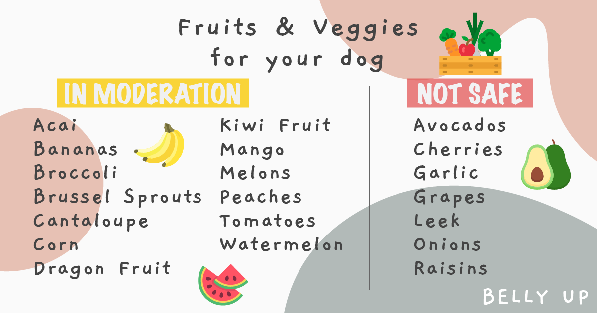 what vegetables can dogs eat safely