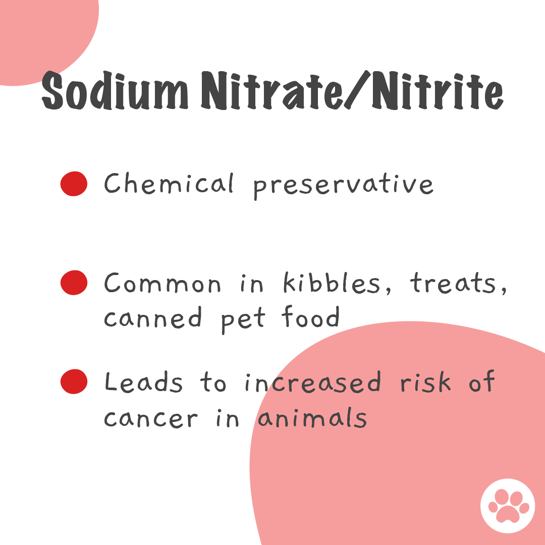 Harmful Ingredients To Look Out For In Your Dog's Food & How To Check