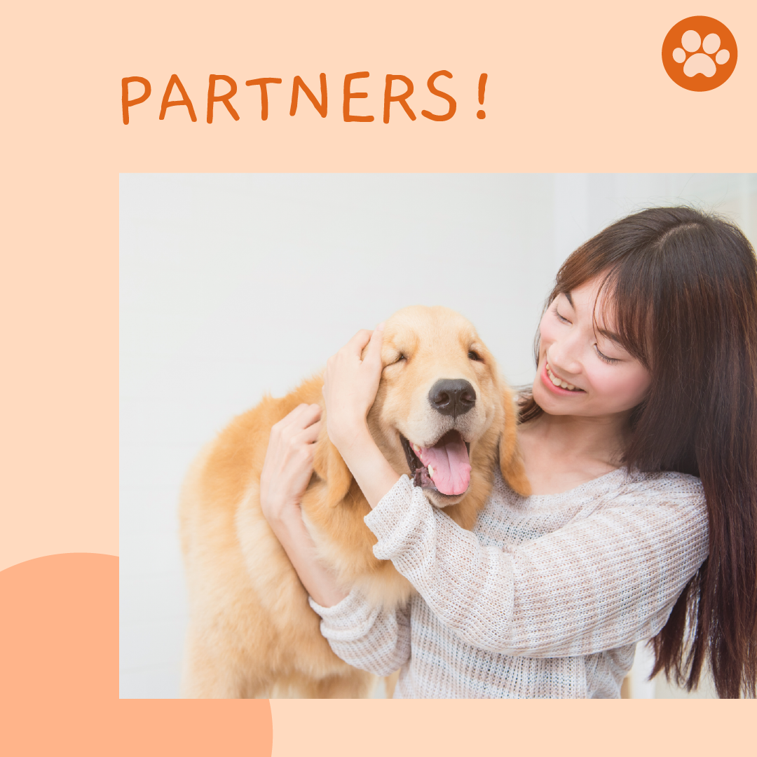 Kicking Off 2021 With Sustainable Local Brand Partnerships For A Better Lifestyle With Your Dogs And Cats.