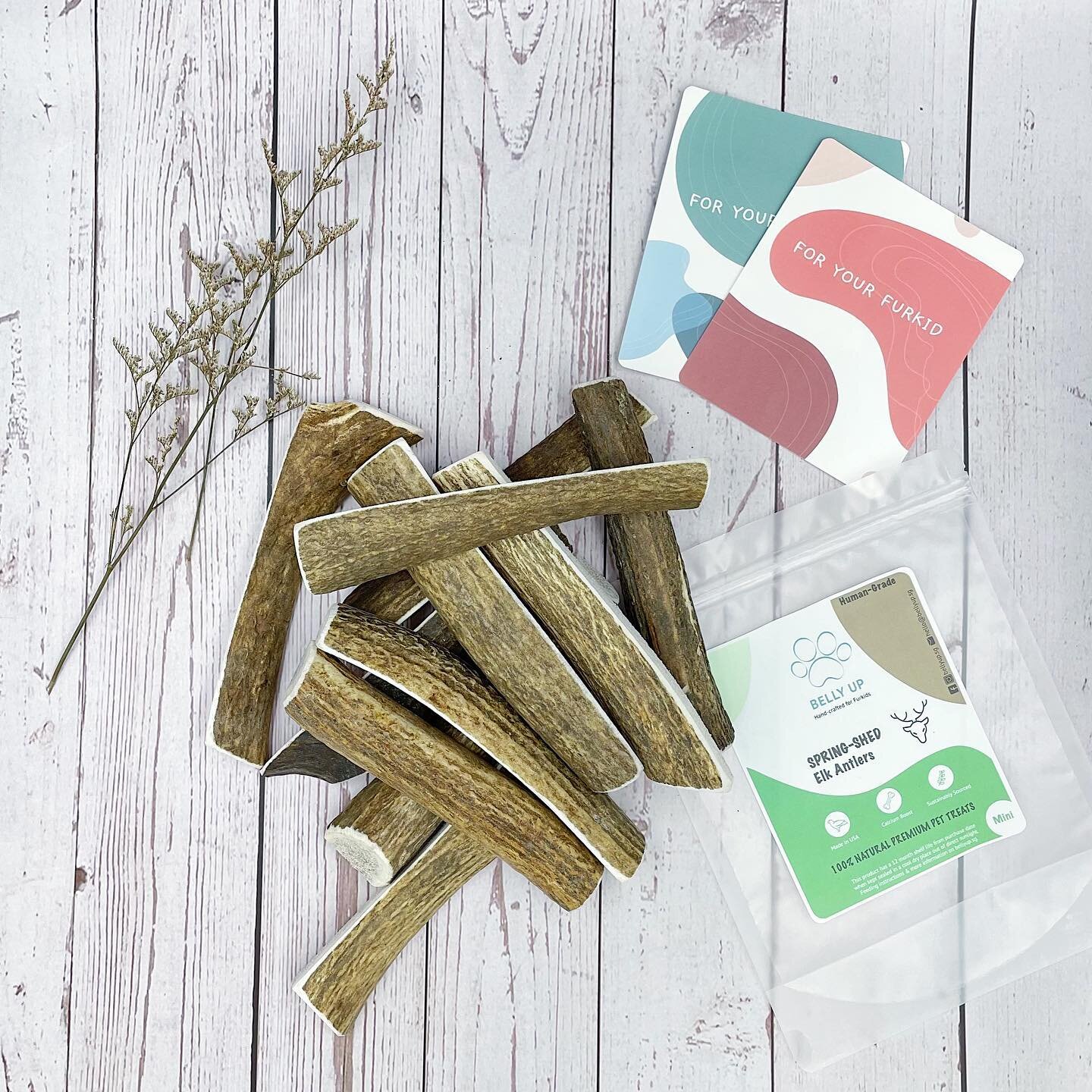 Our Mini Elk Antlers are restocked with more on the way! 

Swipe right for the best (and only) way to hold our Antler chew 😉 

#bellyup #bellyupsg #treatbetter #singleingredient #handcraftedforfurkids #humangradetreats #dogsofinstagram #dogsofig #sg