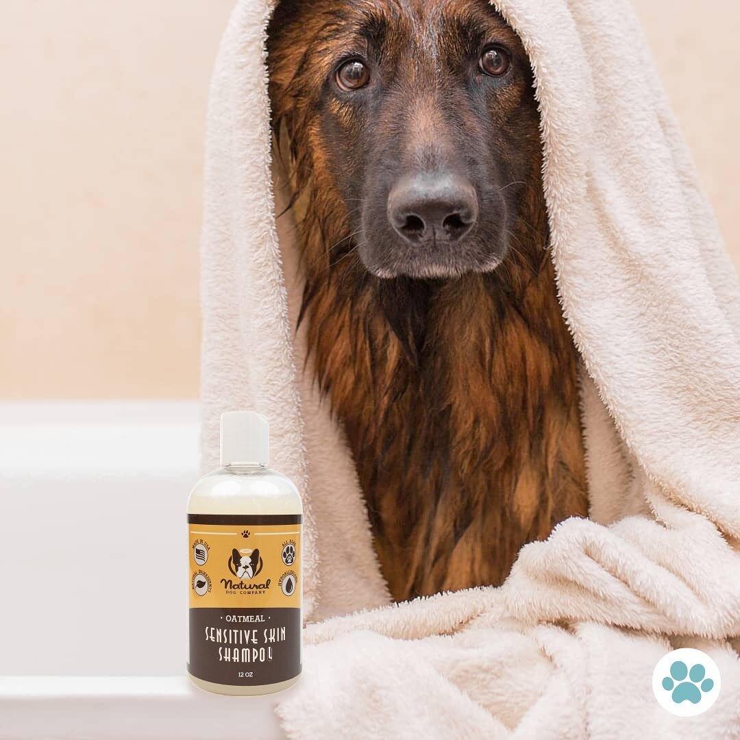 Introducing the latest addition to our Natural Dog Company range of Wellness products - Sensitive Skin Oatmeal Shampoo!

This hypoallergenic formula is mild enough for the most sensitive of skin without sacrificing a clean pup. Oatmeal and Aloe Vera 