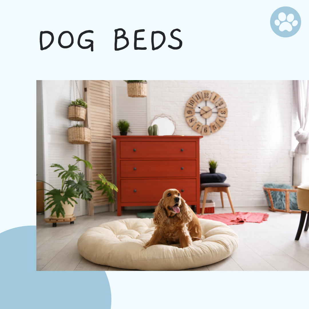 Are Dog Beds Useful For Our Dogs? How To Ensure Beauty Sleep For Our Pooches.