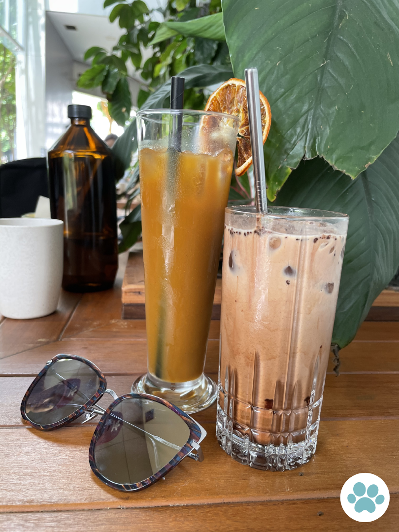 BELLY UP Review Singapore's DogFriendly Cafes Common Man Coffee