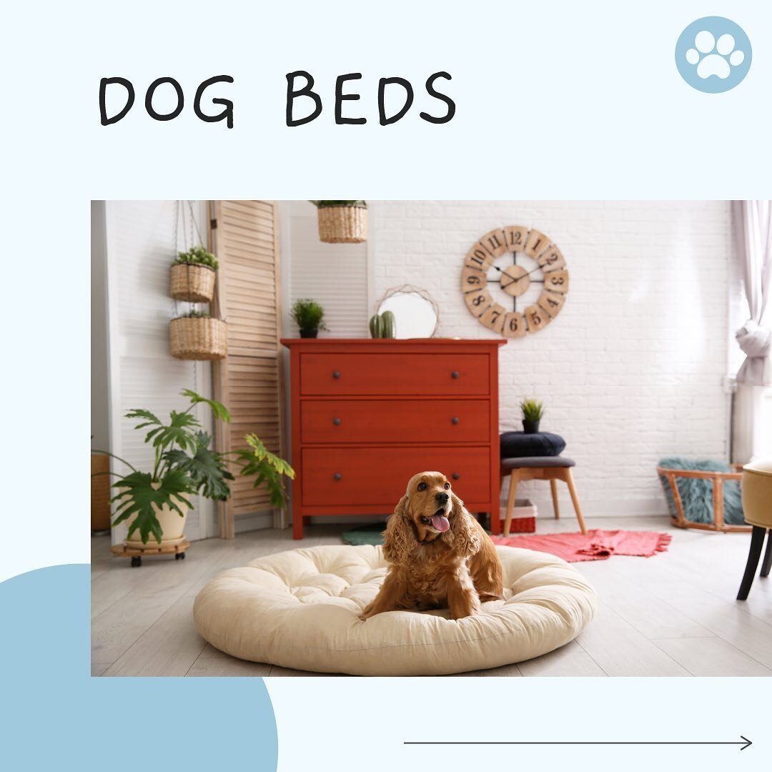 📄 [Blog] Are Dog Beds Useful For Our Dogs? How To Ensure Beauty Sleep For Our Pooch.
&thinsp;
Humans sleep 30% of their life while our dogs sleep between 12 to 18 hours a day, depending on their age. This is almost twice as much as humans. However, 