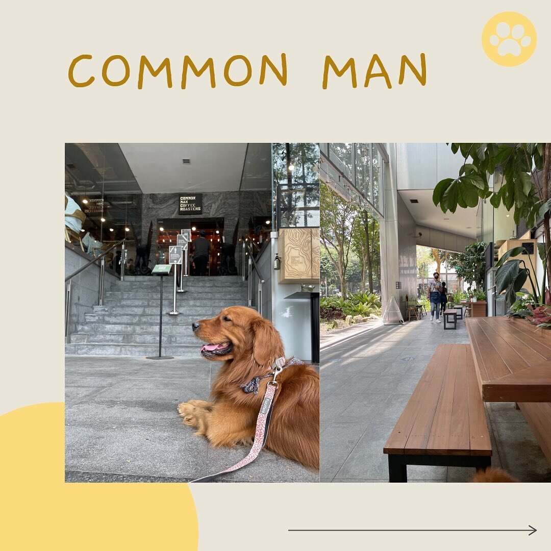 📄 BELLY UP Review Singapore's Dog-Friendly Cafes: Common Man Coffee Roasters At Martin Road&thinsp;
&thinsp;
Disclaimer: This is an independent review and we have had no commercial relations to Common Man Coffee Roasters (CMCR).&thinsp;&thinsp;
&thi