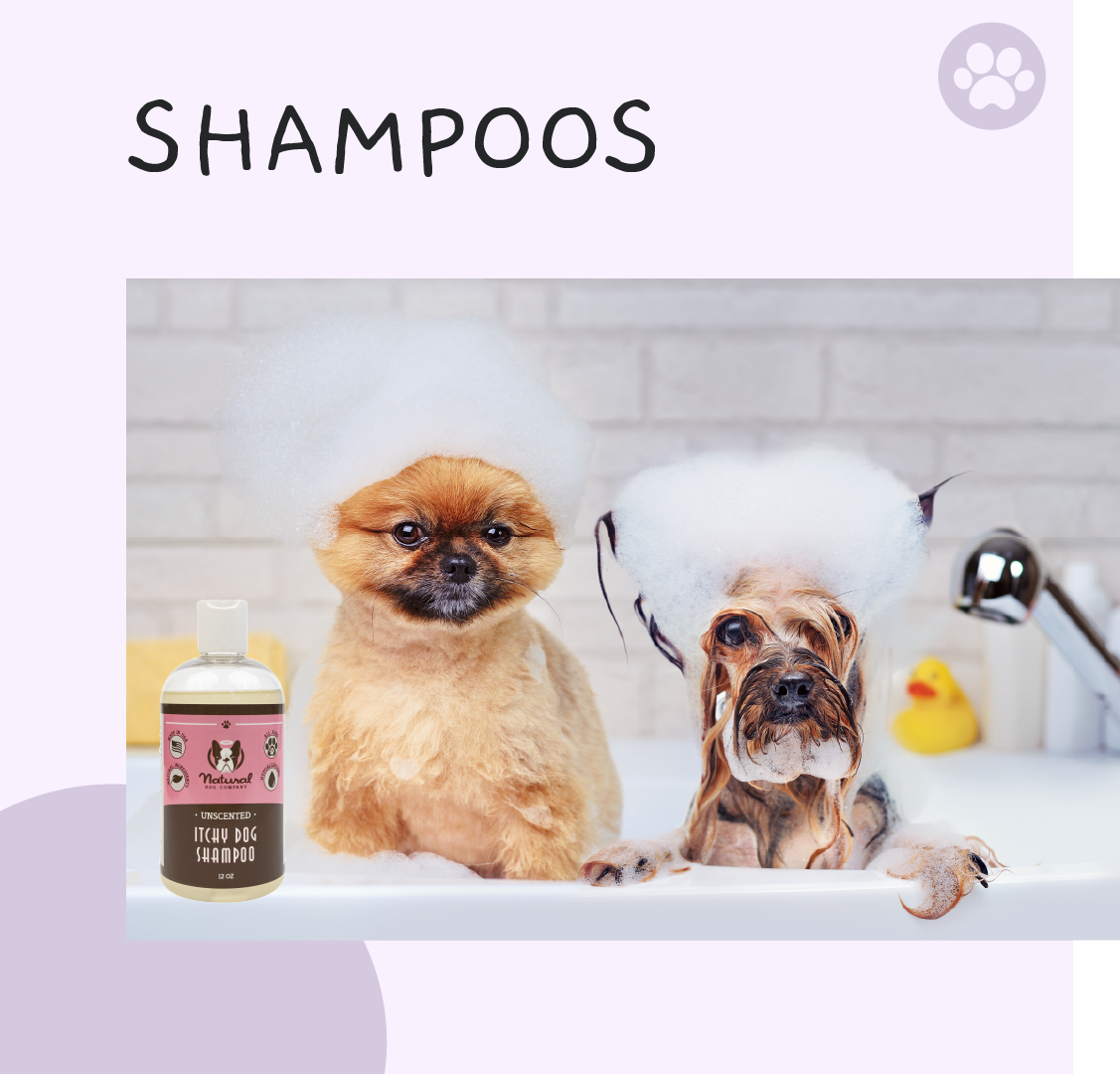 Finding The Best Shampoos For Your Dogs In Our Tropical Weather.