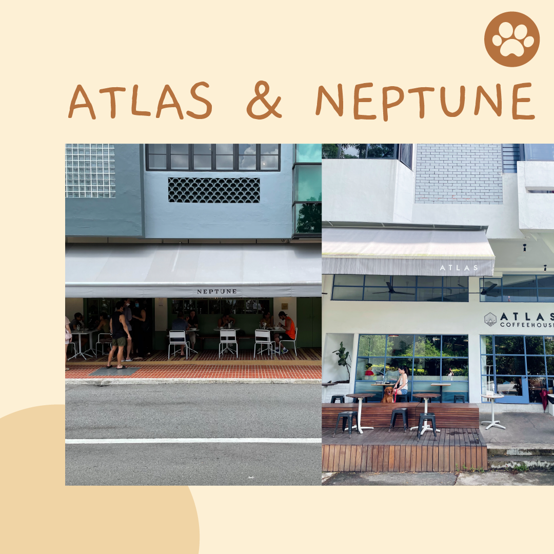 BELLY UP Reviews Singapore's Dog-Friendly Cafes: Atlas Coffeehouse &amp; Their Newest Themed Cafe, Neptune.