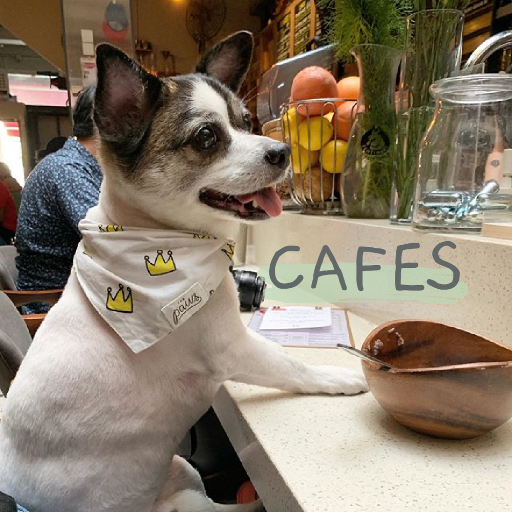 A List Of More Than 99 Dog Friendly Cafes And Restaurants In Singapore For Doggy Dates And Delicious Food Belly Up