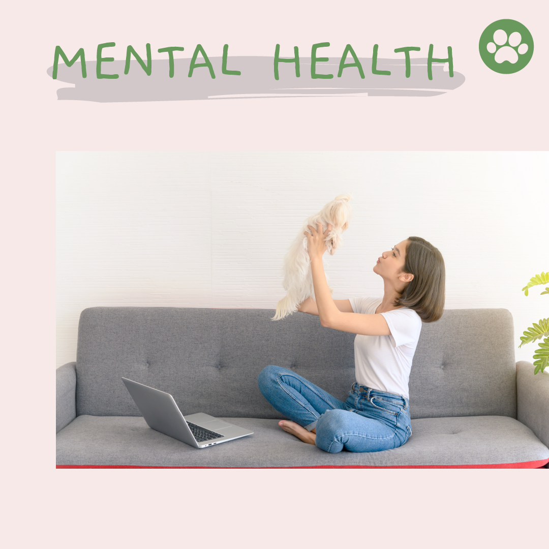 How Do Dogs &amp; Cats Support Our Mental Health? Protecting Our Mental Health And Raising Awareness For All.