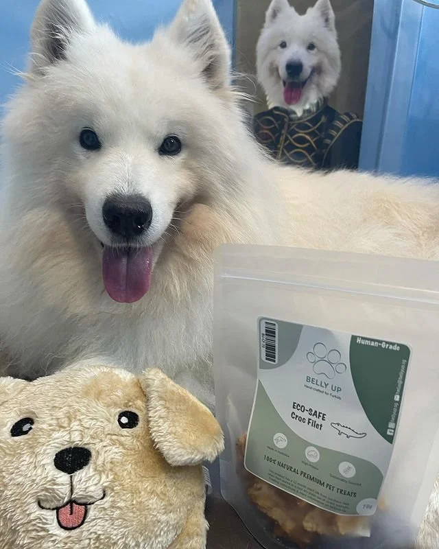 Treats Tuna For Dogs With Pancreatitis Low Fat Canned Dog Food