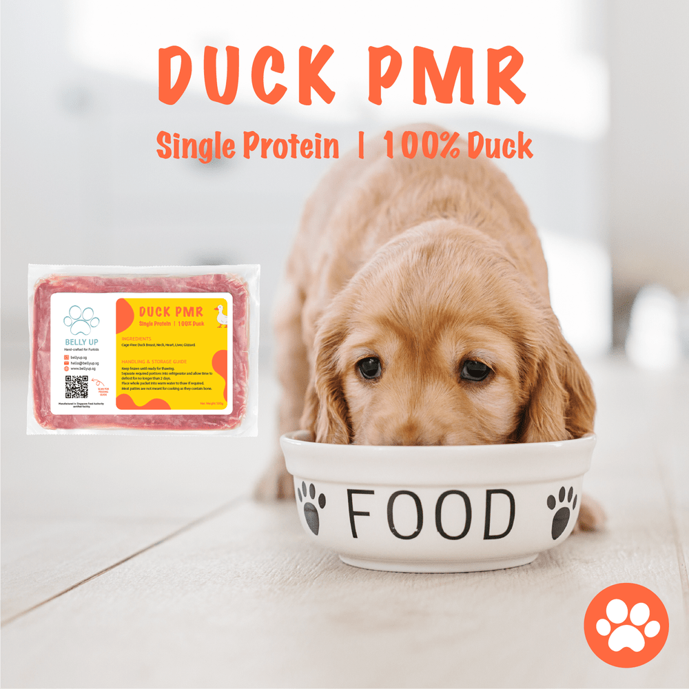 Prey Diet Steve's Real Food Beef Patties Prey Model Dog Food