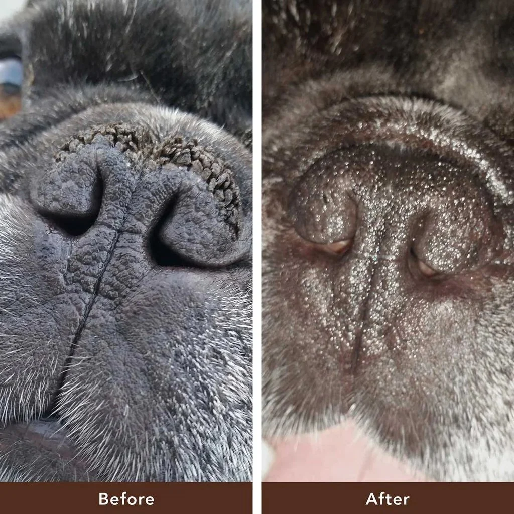 SNSR-before.after.jpg