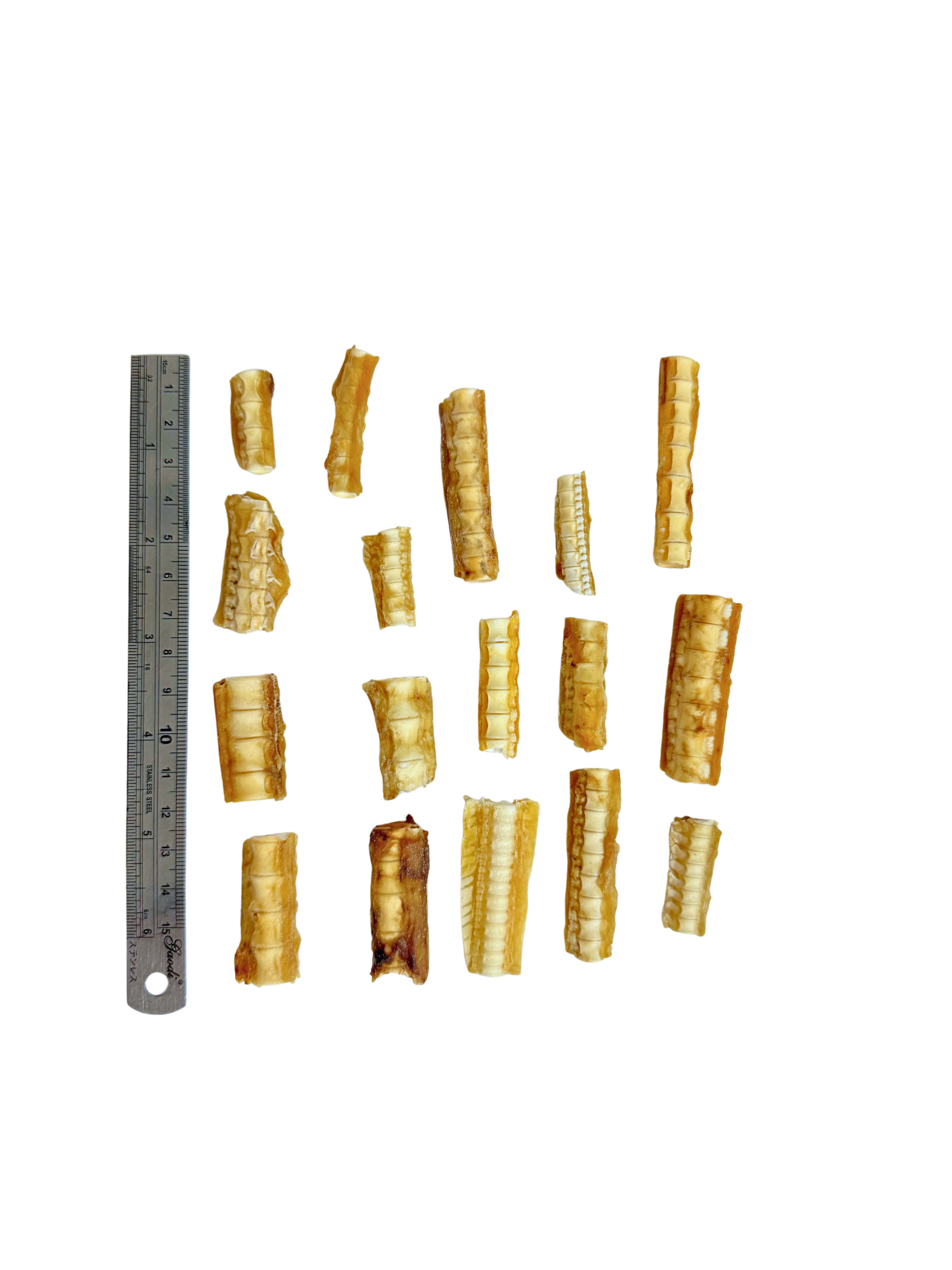 Untitled design (6).png