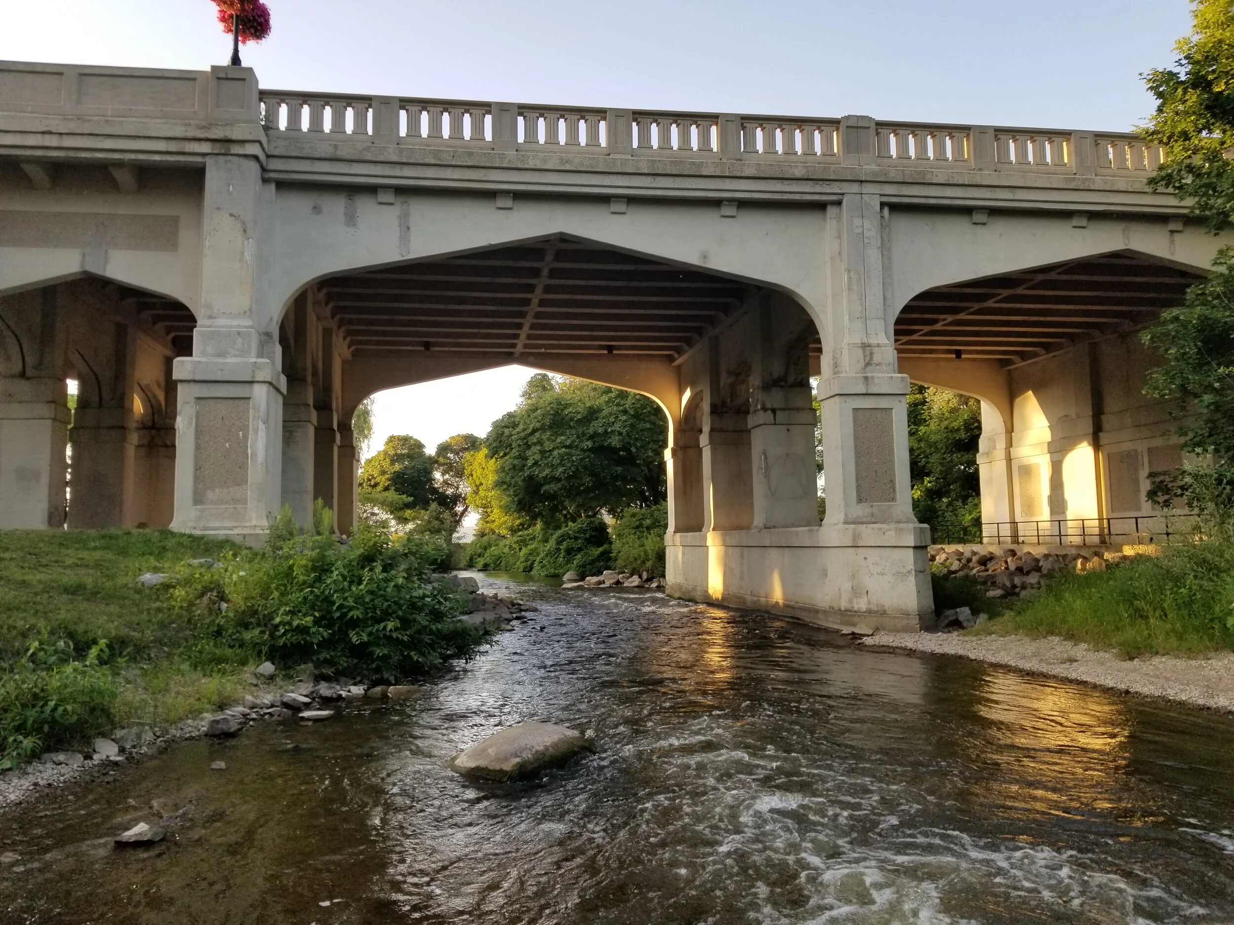 20190804_200505.jpg