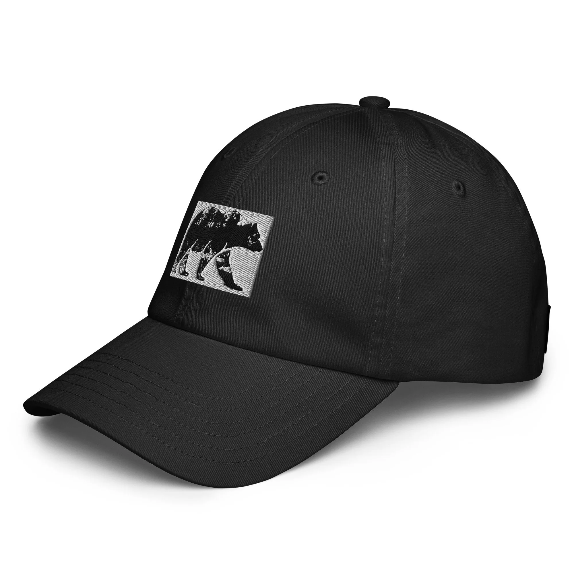 under-armour-dad-hat-black-left-front-6a0ca113a9605.jpg