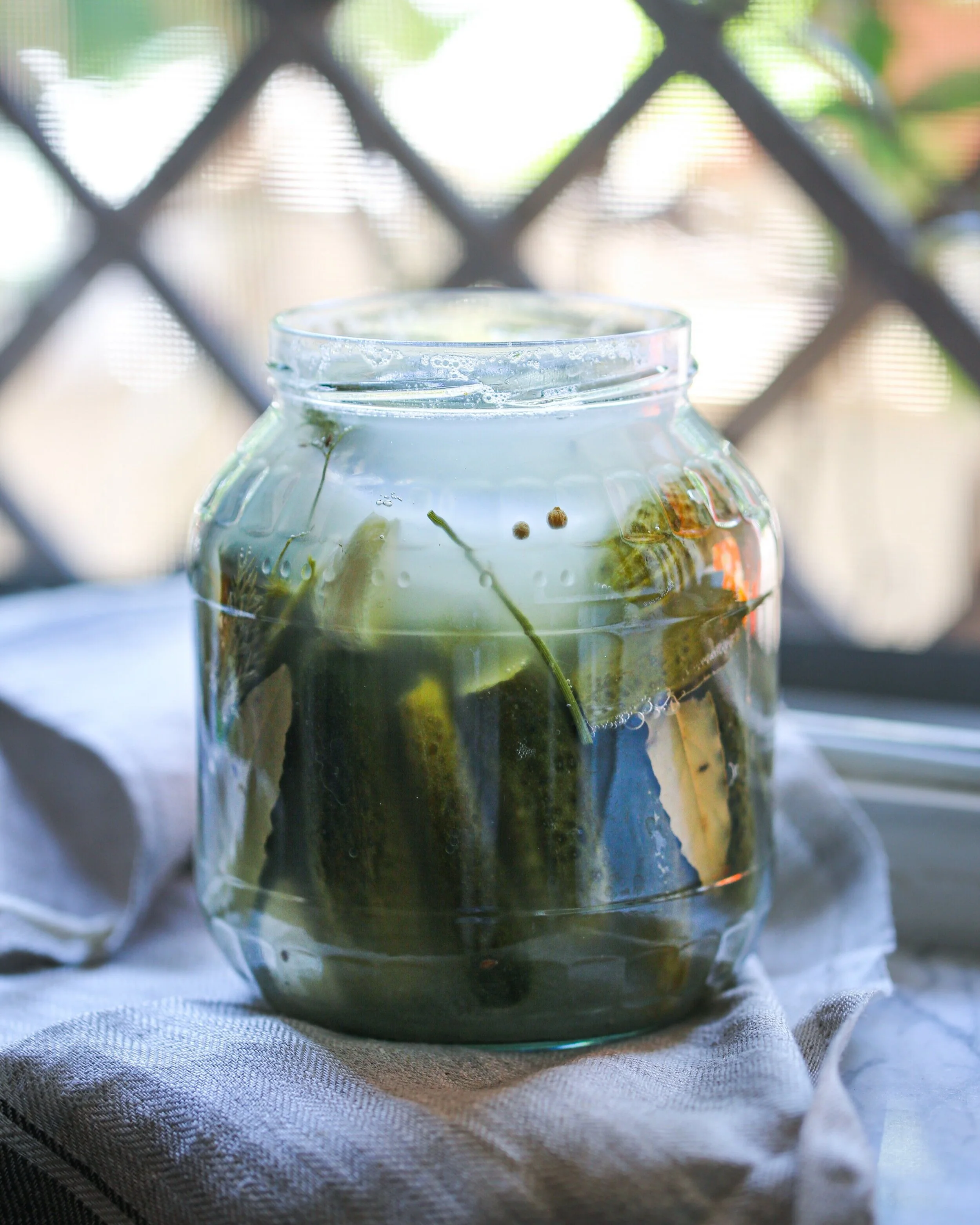 Pre- and Pro-biotics: Building Immunity Through Gut Health