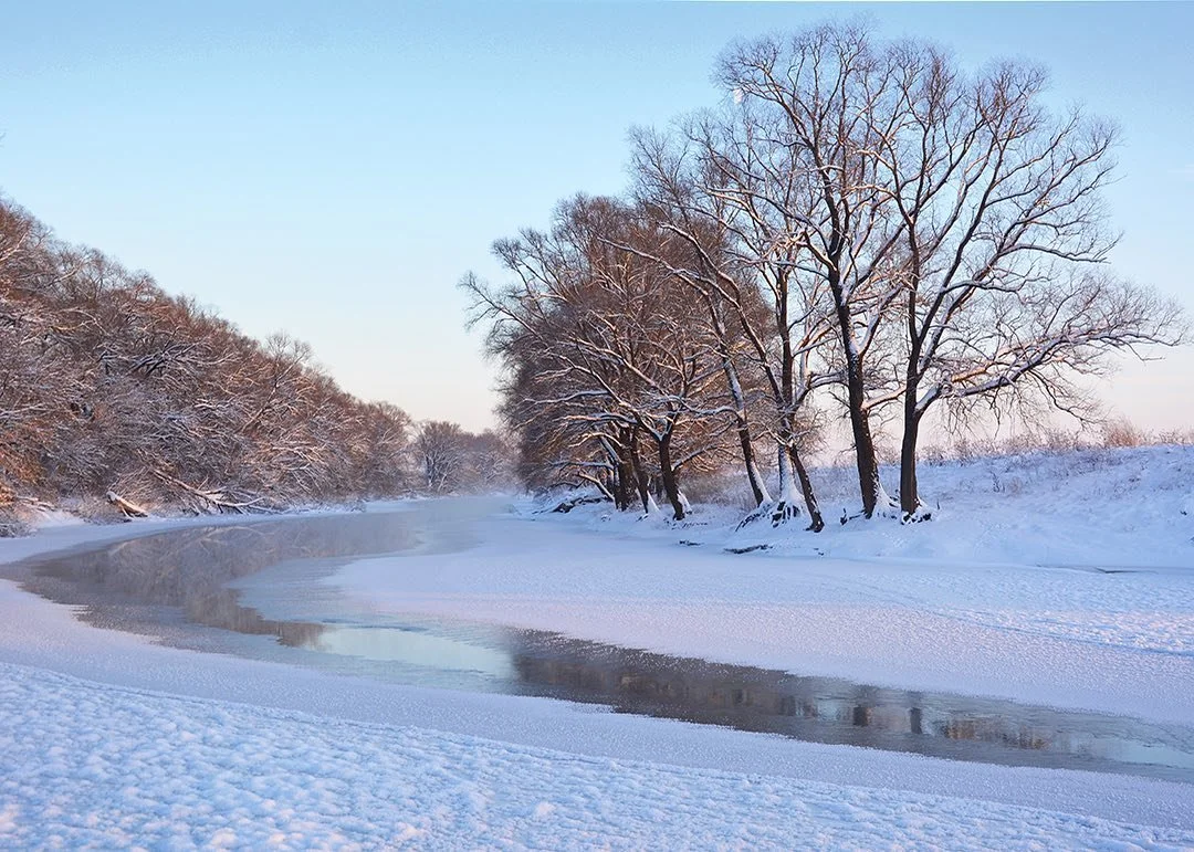 What to Eat for Balance During Winter Solstice
