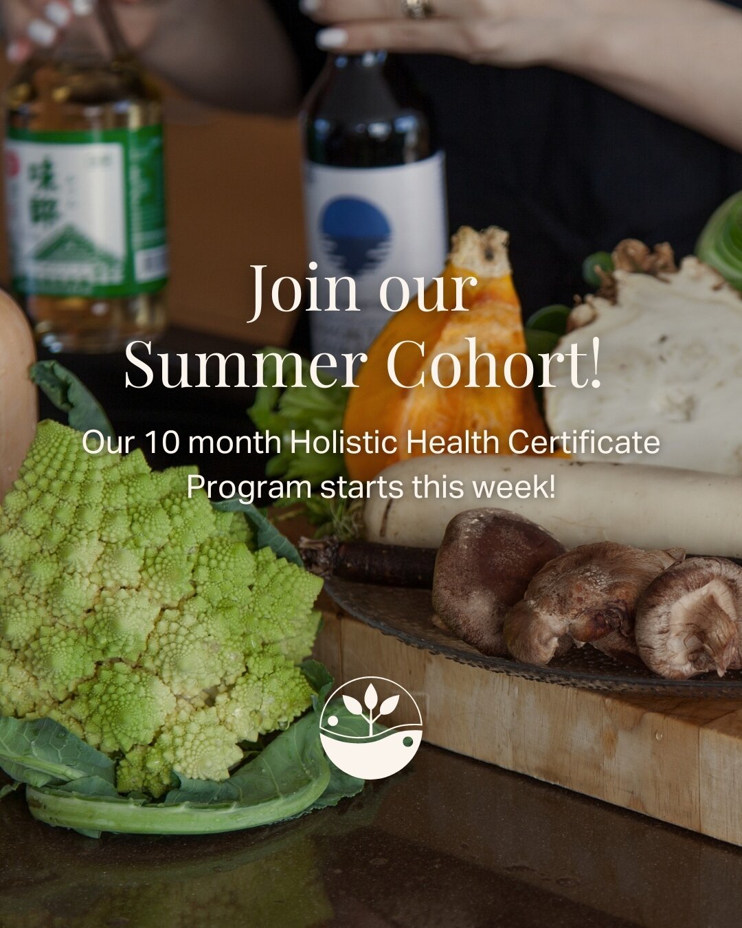 Are you ready to feel healthier and more confident in your decisions around food, health, and longevity? Ready to pivot your career, or deepen your current holistic health practice?⁠
⁠
There are just a few days left to enroll onto our Holistic Health