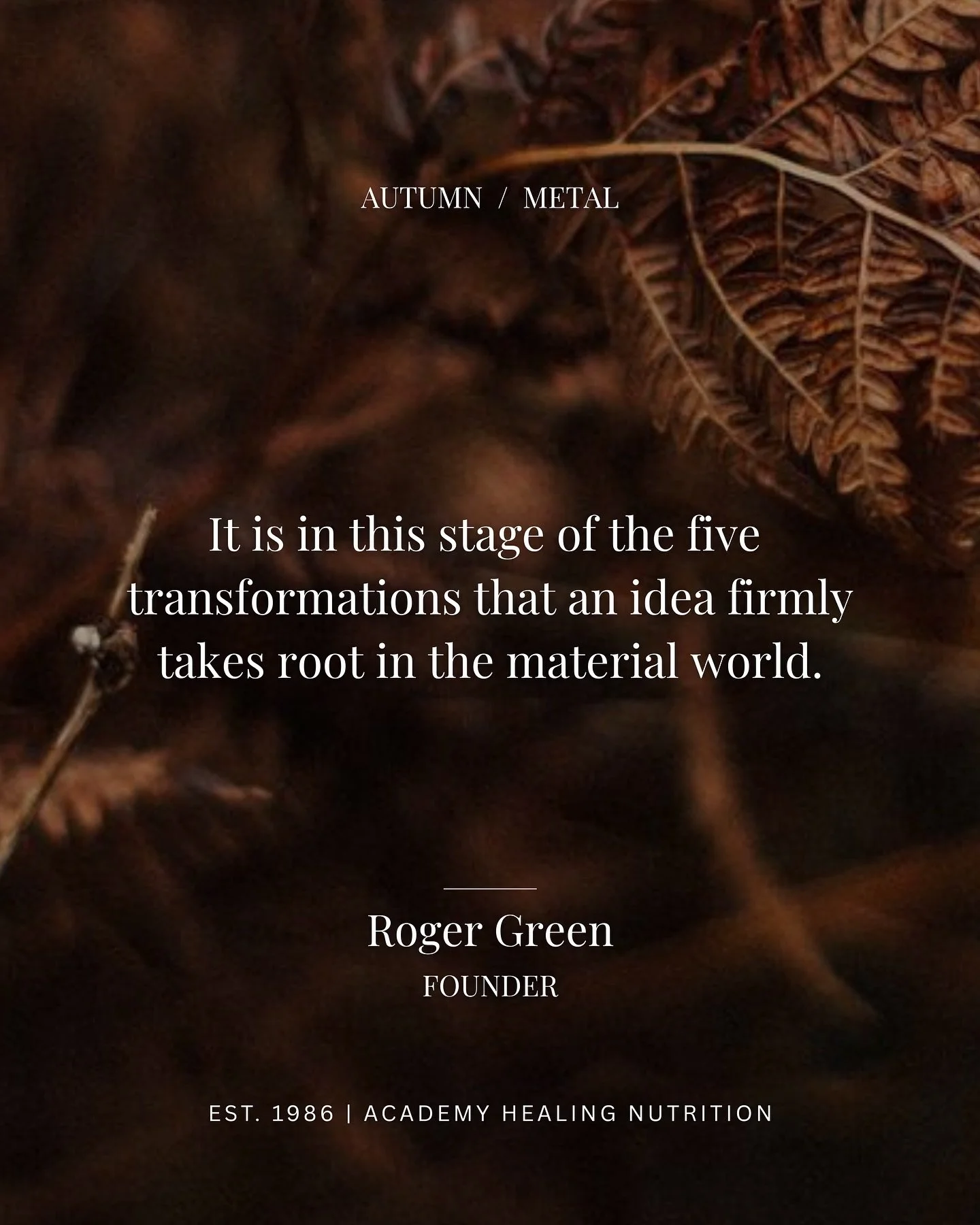 Right now, we&rsquo;re in Metal season&mdash;the time when vision becomes reality. When ideas crystallize into something tangible. When transformation moves from concept to manifestation.

This is the energy of autumn in Traditional Chinese Medicine.