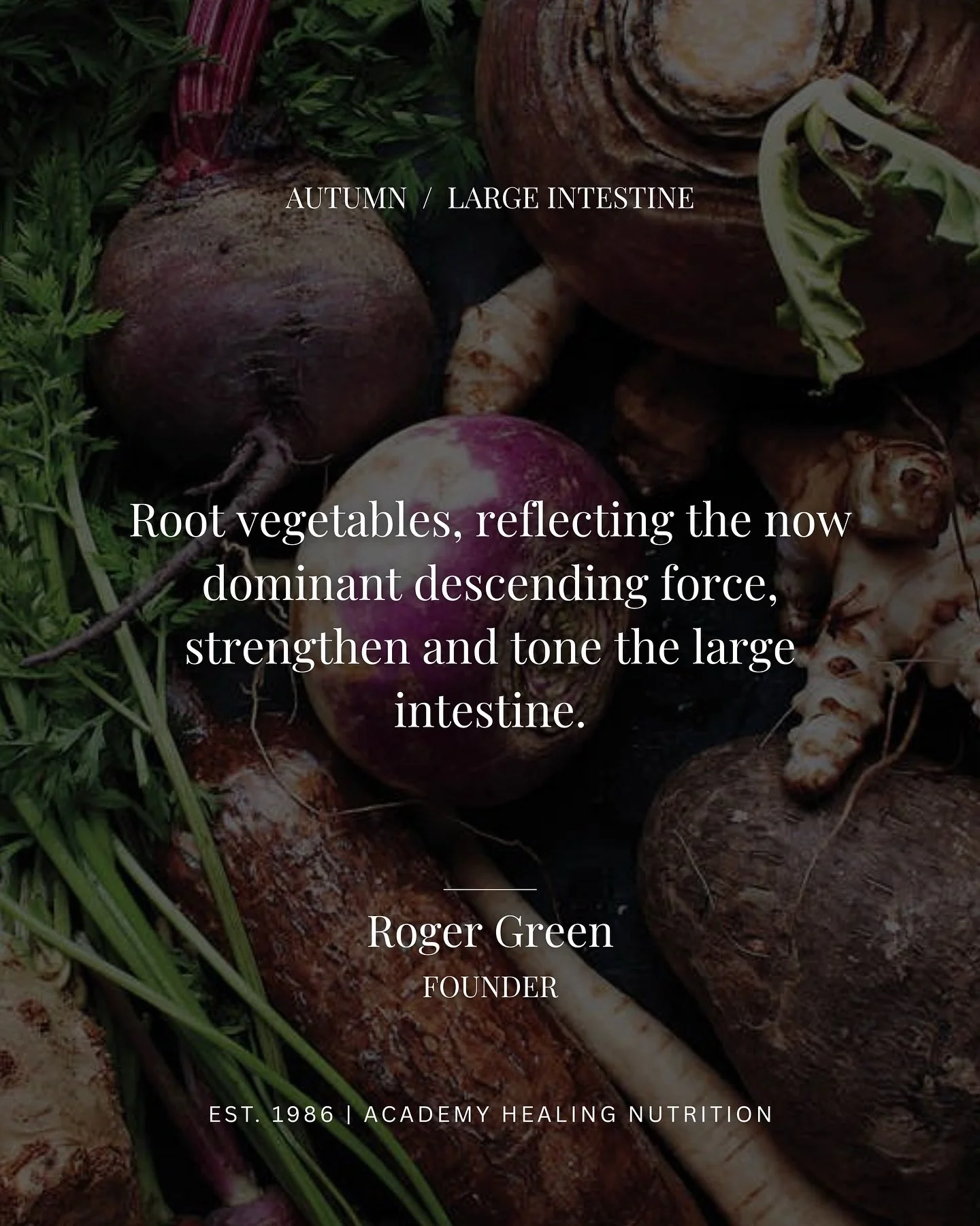 Autumn in Traditional Chinese Medicine is the season of descent and consolidation—when energy moves downward and inward, and the body focuses on elimination and purification.
The Large Intestine embodies this descending force. It teaches us ab