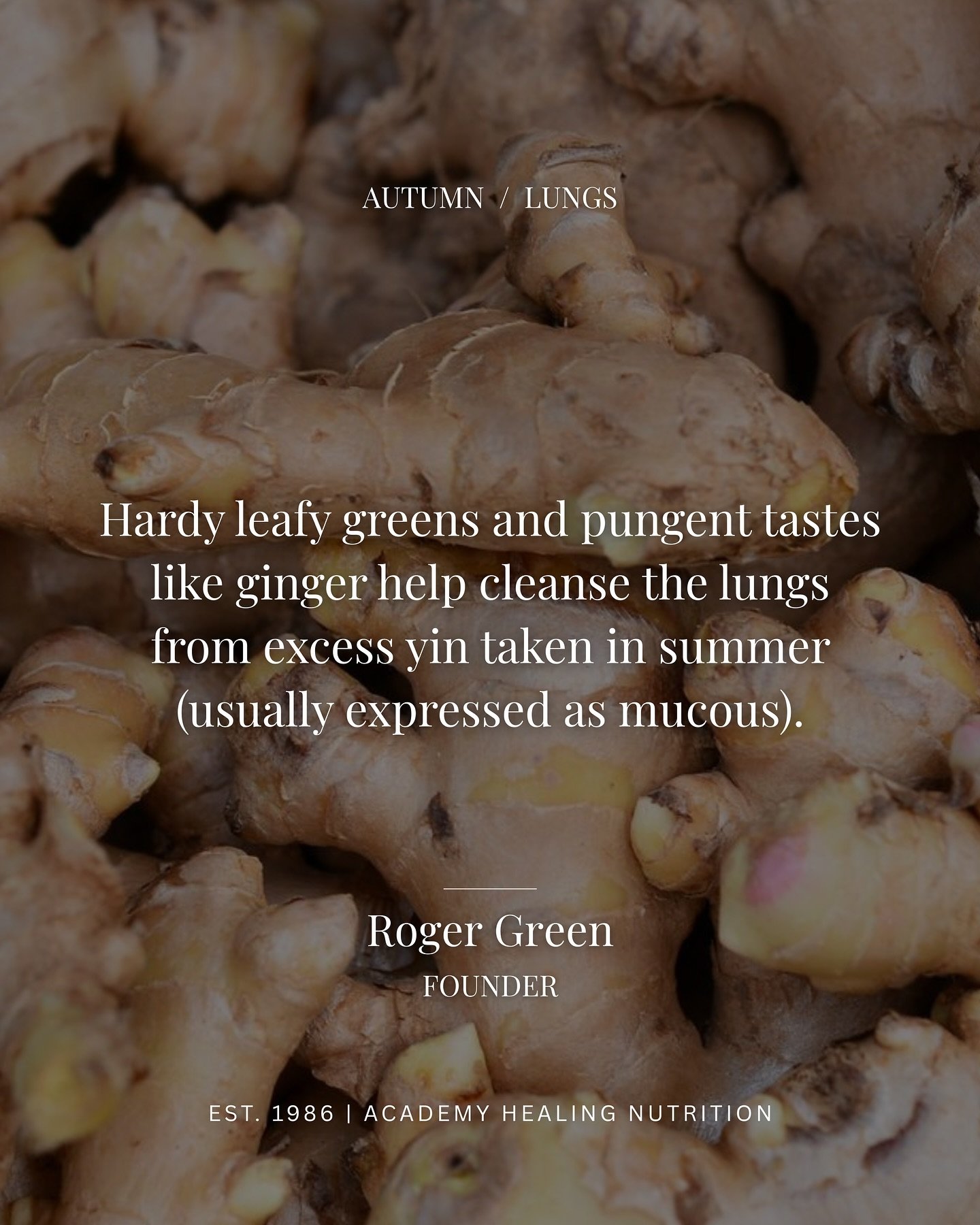 Autumn is the season of the lungs. π
In Traditional Chinese Medicine, each season corresponds to specific organs—and autumn governs the lungs and large intestine. As we transition from summer’s expansive heat to autumn’s contracti