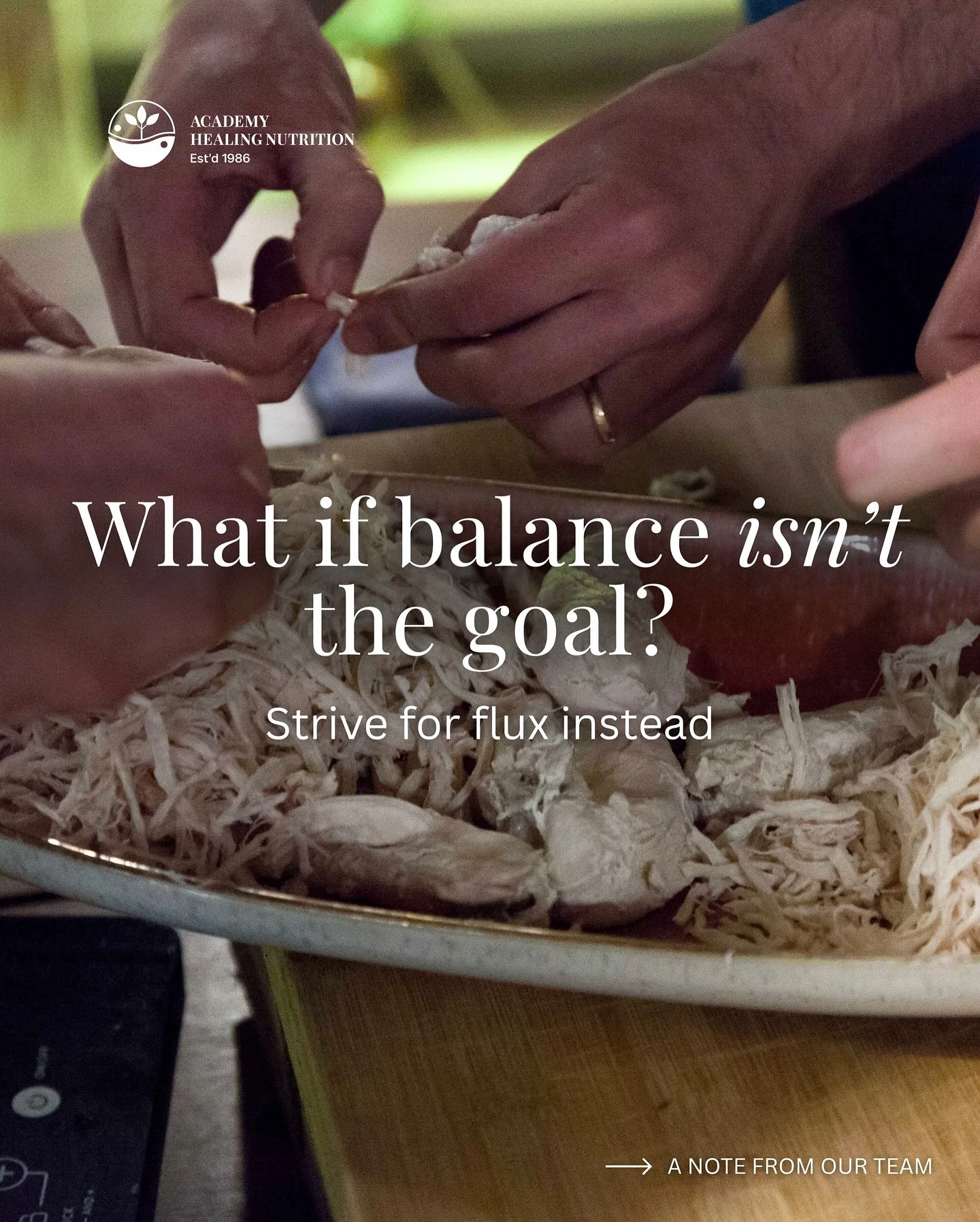 One of our teachers, Nam Singh—a master practitioner of all eight branches of Chinese Medicine—shared something that changed everything: “Balance is dead. We should strive for flux instead.”
In a culture obsessed with finding