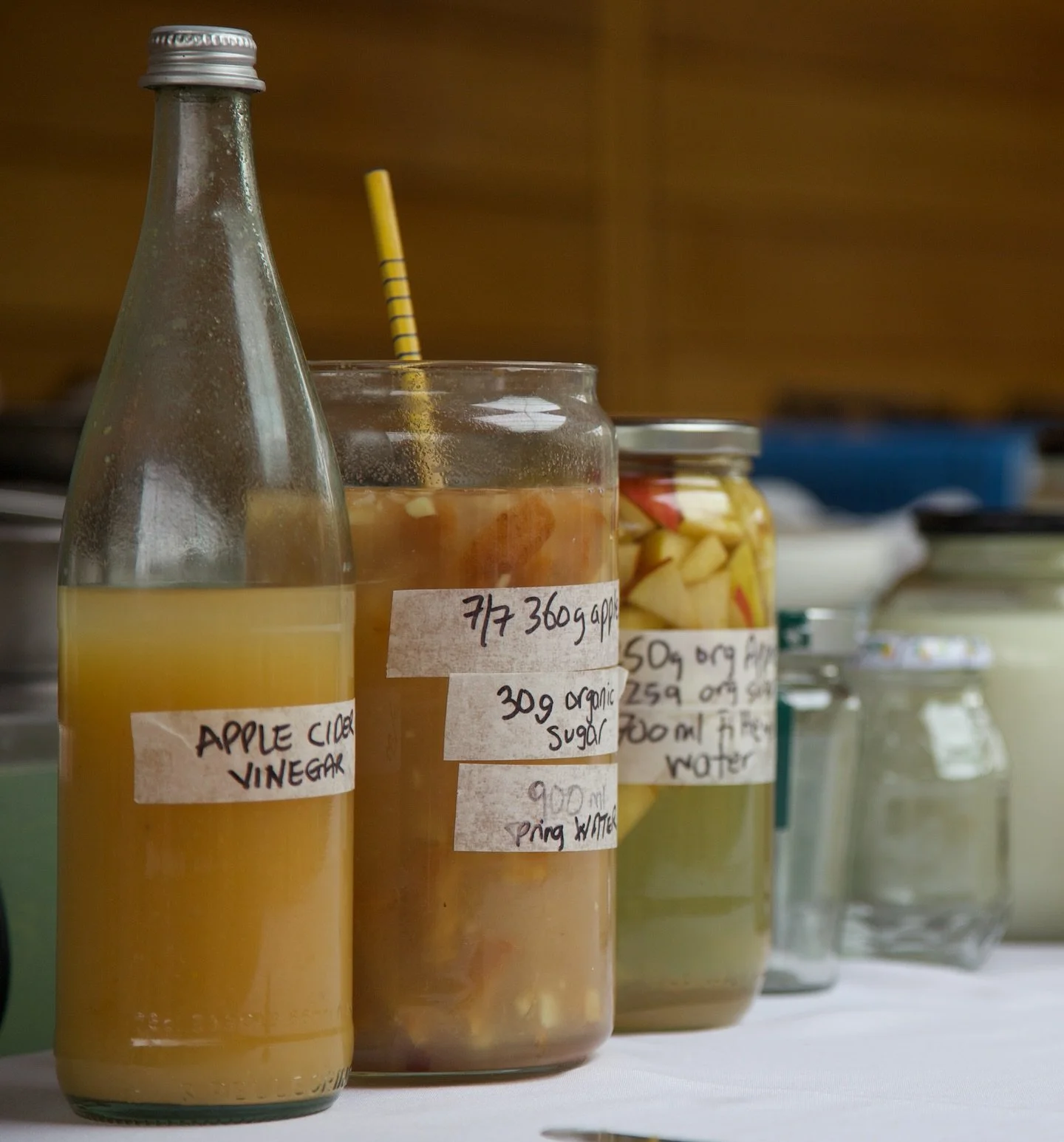 Tonic herbalism meets ancestral food ways. 🌿

In Module 5, you&rsquo;ll learn to cultivate inner alchemy through over 20 tonic herbal ingredients&mdash;adaptogens and functional mushrooms that build radiant health from within. But we don&rsquo;t sto