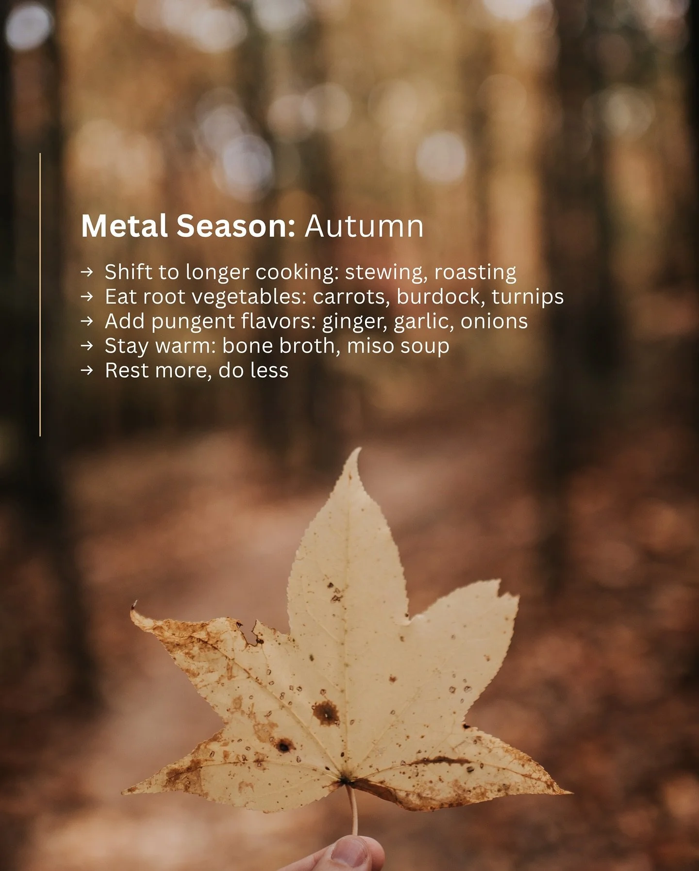 Metal Season: The wisdom of contraction. 🍂
As autumn deepens and energy draws inward, your body is asking you to shift with it. Not against it. With it.

In Traditional Chinese Medicine, Metal season governs the lungs and large intestine&mdash;the o