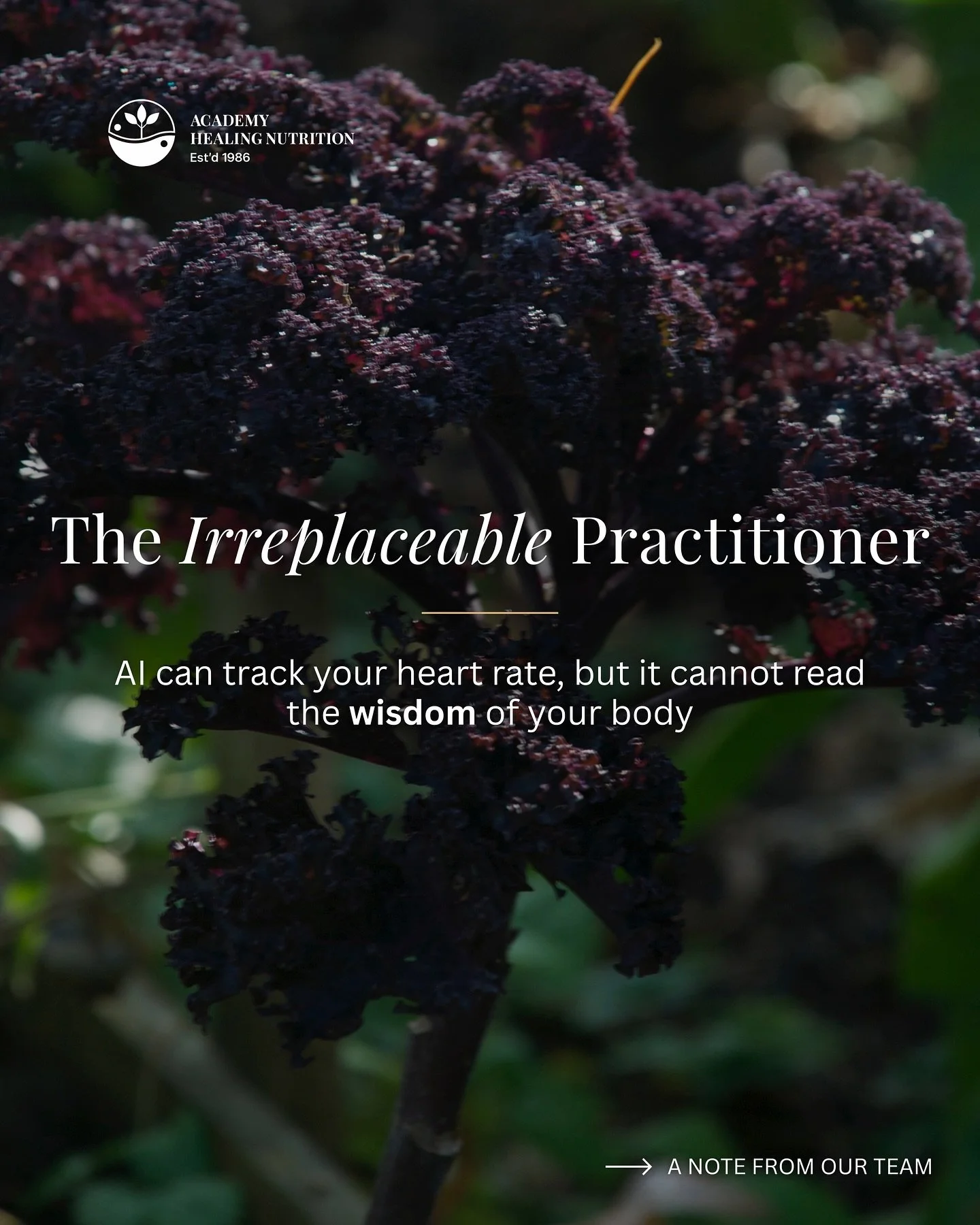 Wellness trends expire. This wisdom does not.

Our graduates build recession-proof practices that:
✓ Cannot be automated away
✓ Command $1,500-$2,500 per package
✓ Recover investment within 3-6 months
✓ Become more valuable during uncertainty

In a w