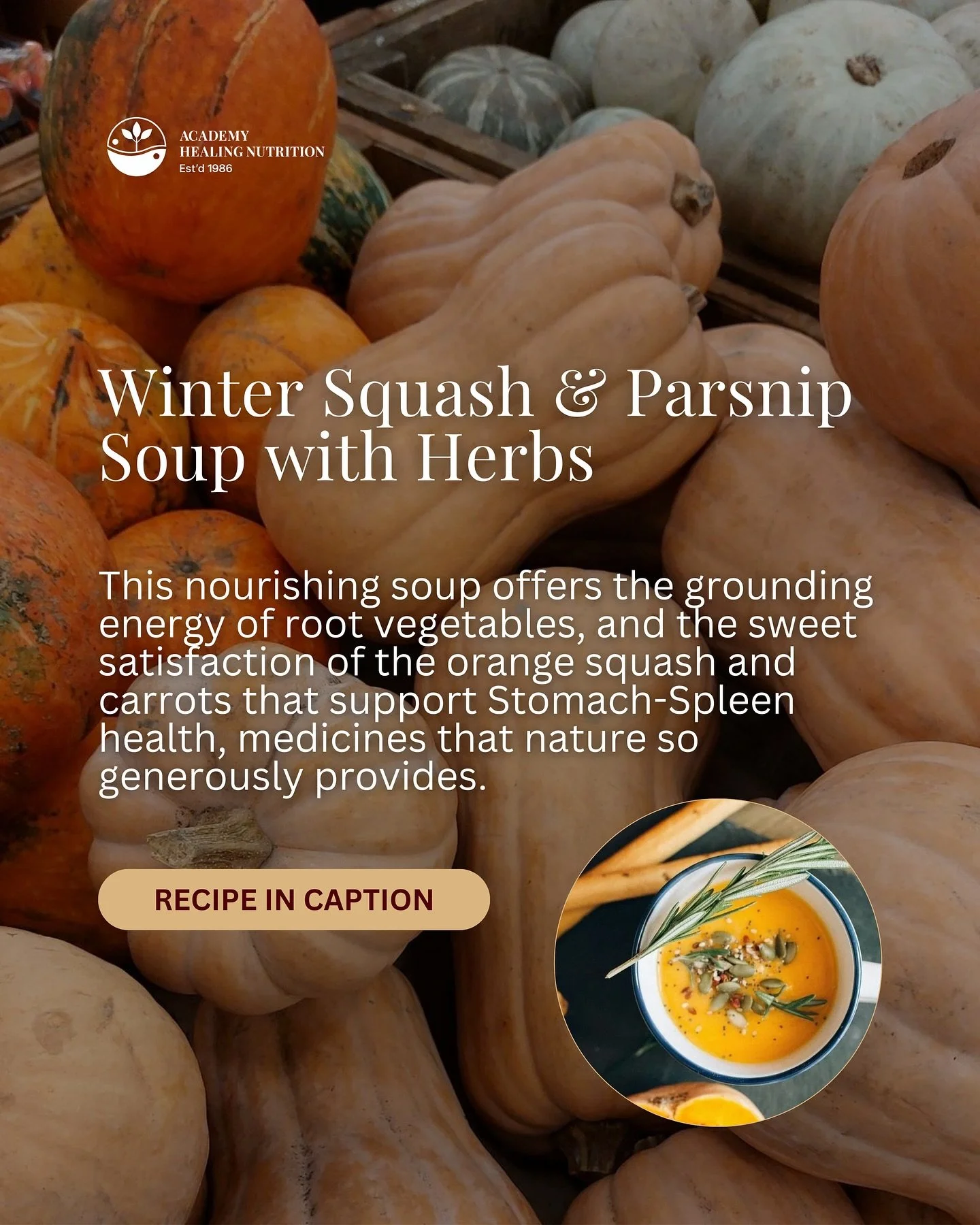 Winter Squash &amp; Parsnip Soup with Herbs 🥕🍂

Nature&rsquo;s medicine in a bowl! This nourishing blend features sweet butternut squash, carrots, and parsnips to support Stomach-Spleen health with warming, grounding energy.

Key ingredients: butte
